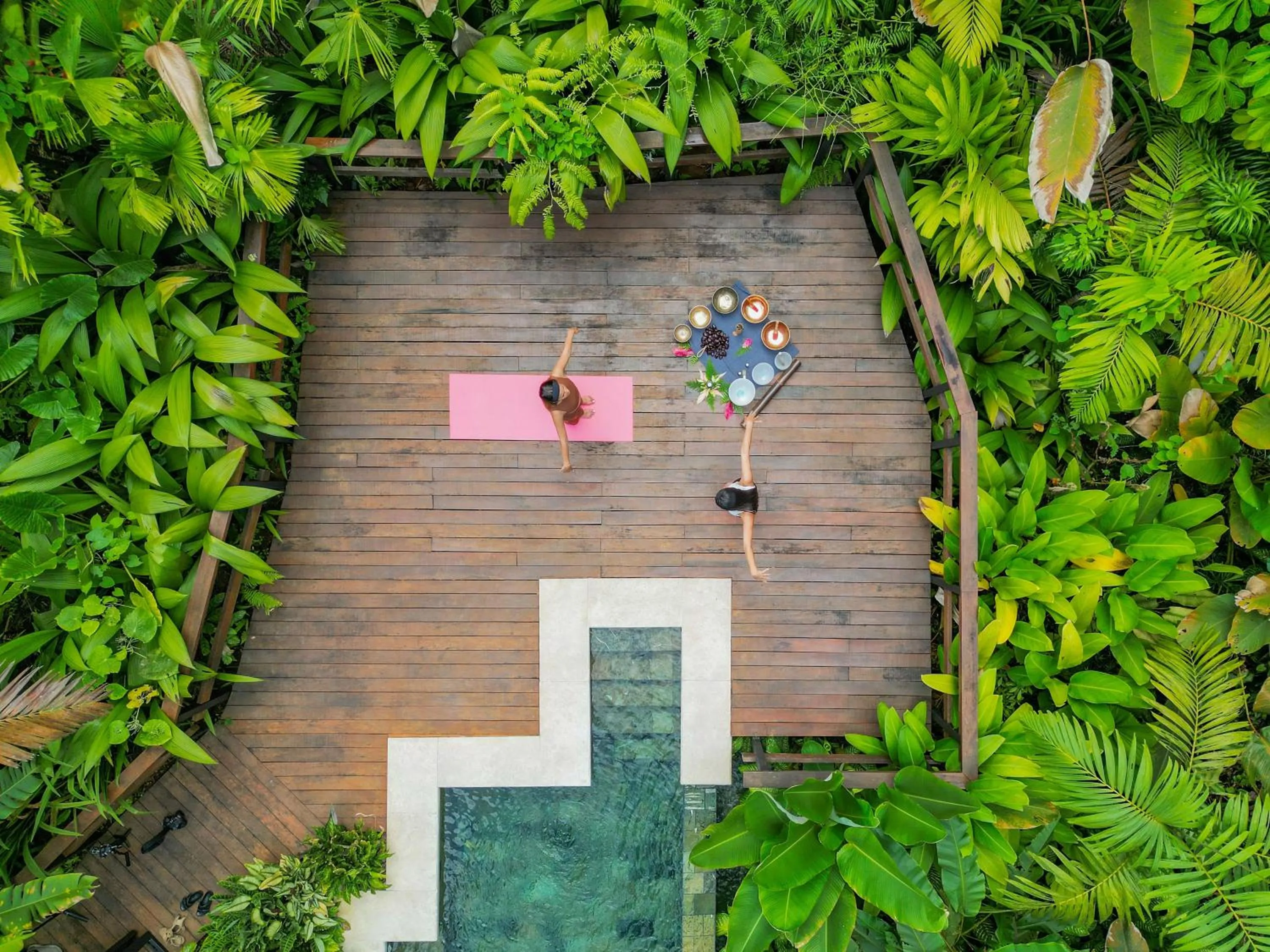 Natural landscape in Chachagua Rainforest Hotel & Hot Springs