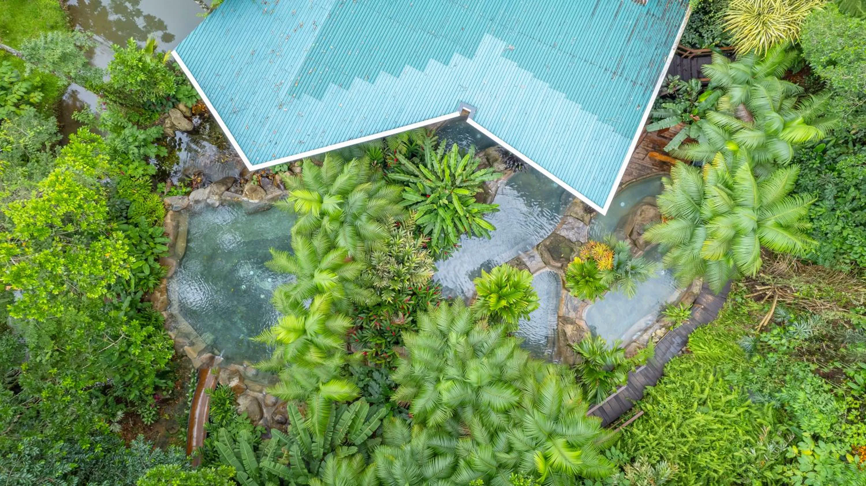 Bird's eye view in Chachagua Rainforest Hotel & Hot Springs