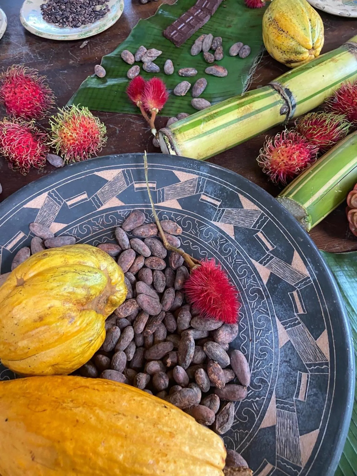 Activities in Chachagua Rainforest Hotel & Hot Springs