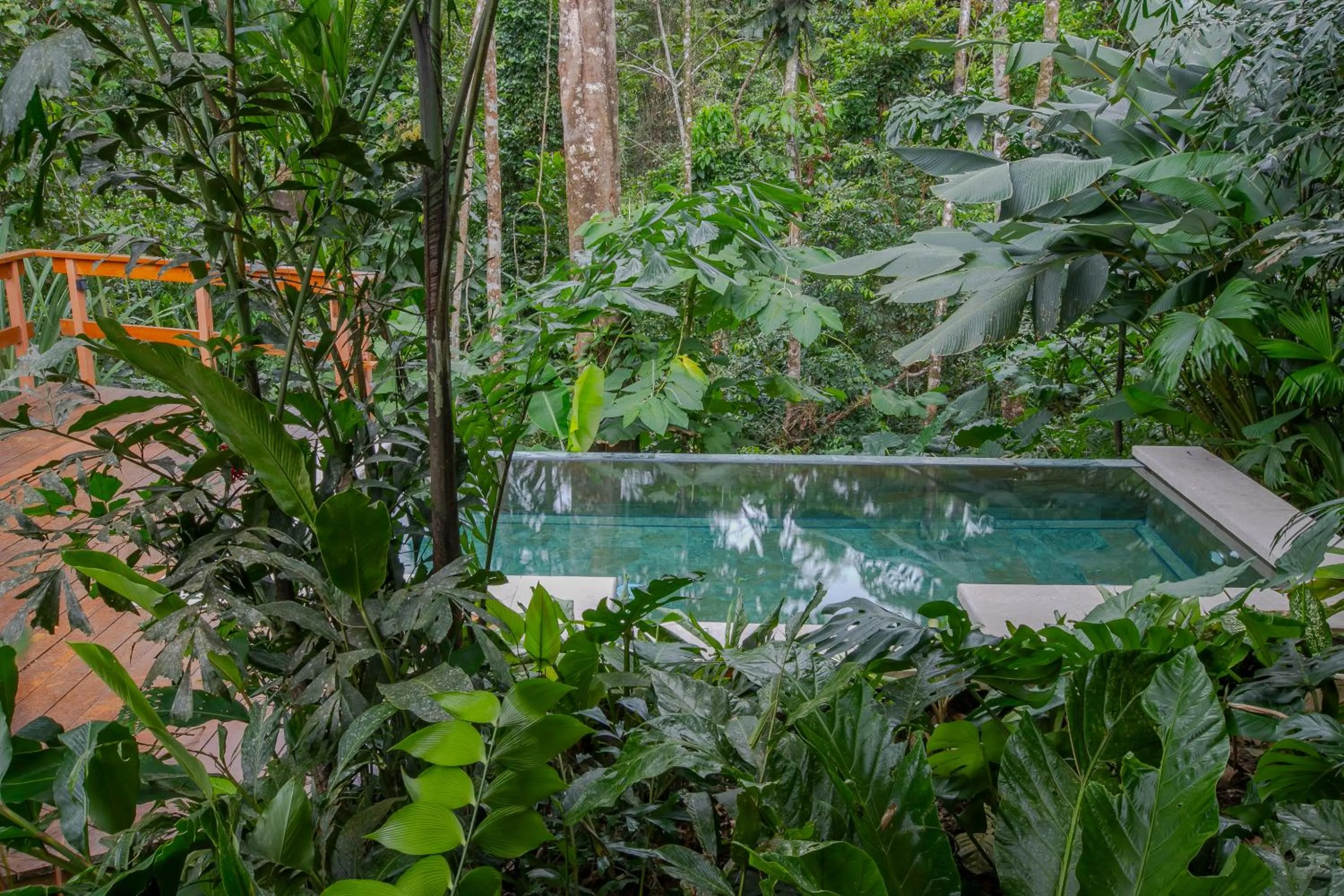 Natural landscape in Chachagua Rainforest Hotel & Hot Springs