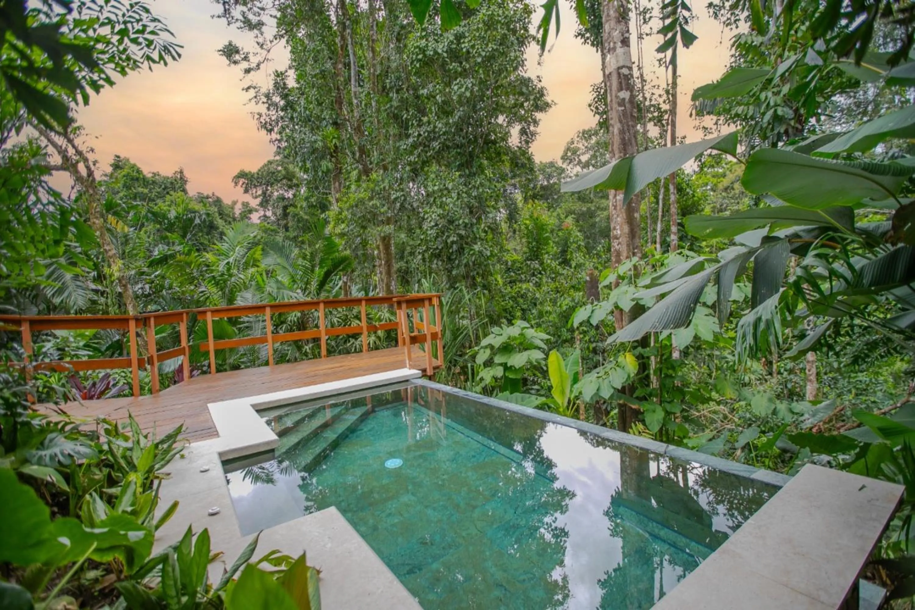 Natural landscape in Chachagua Rainforest Hotel & Hot Springs