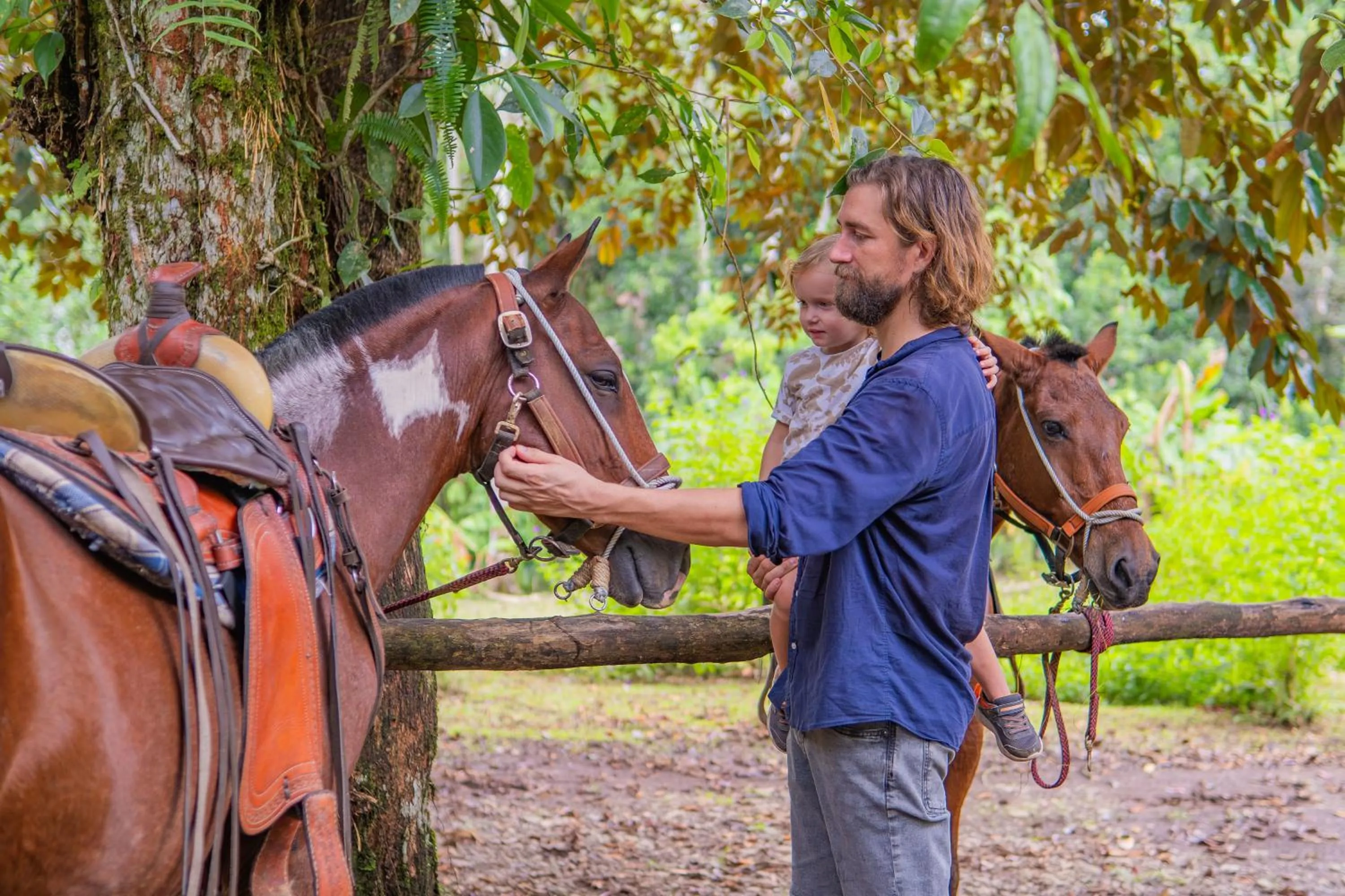 Day in Chachagua Rainforest Hotel & Hot Springs