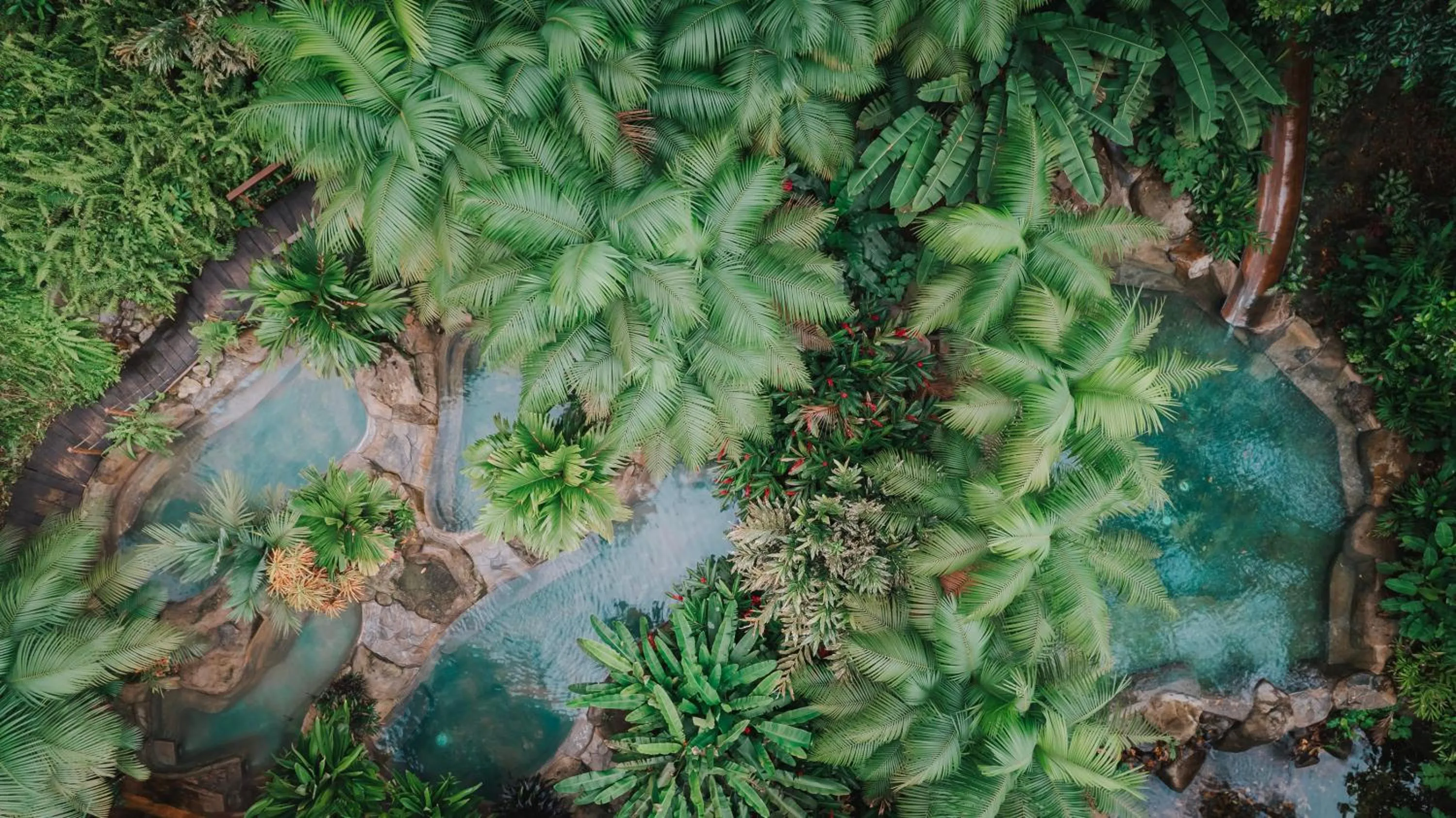 Bird's eye view in Chachagua Rainforest Hotel & Hot Springs