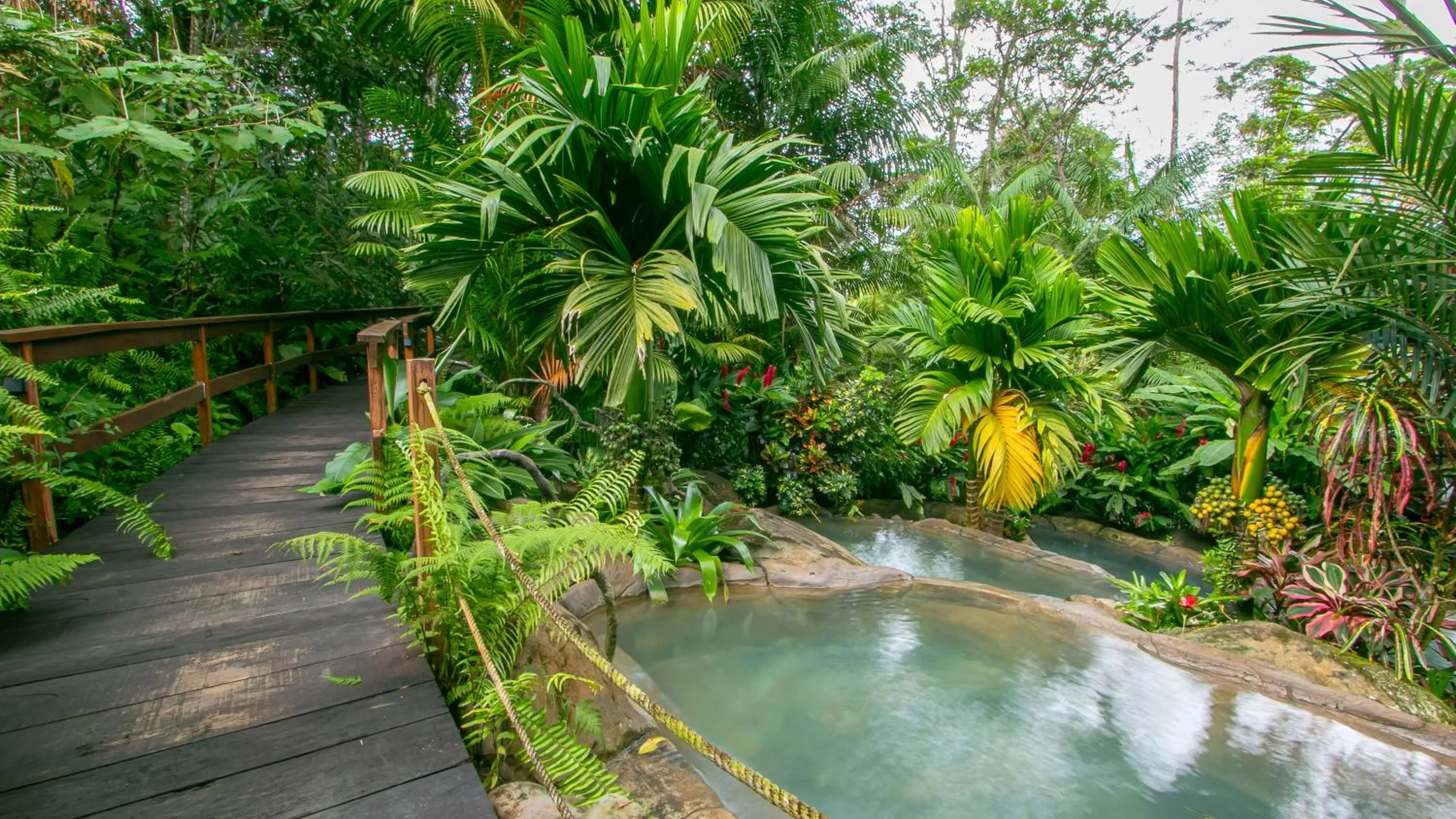 Swimming pool in Chachagua Rainforest Hotel & Hot Springs