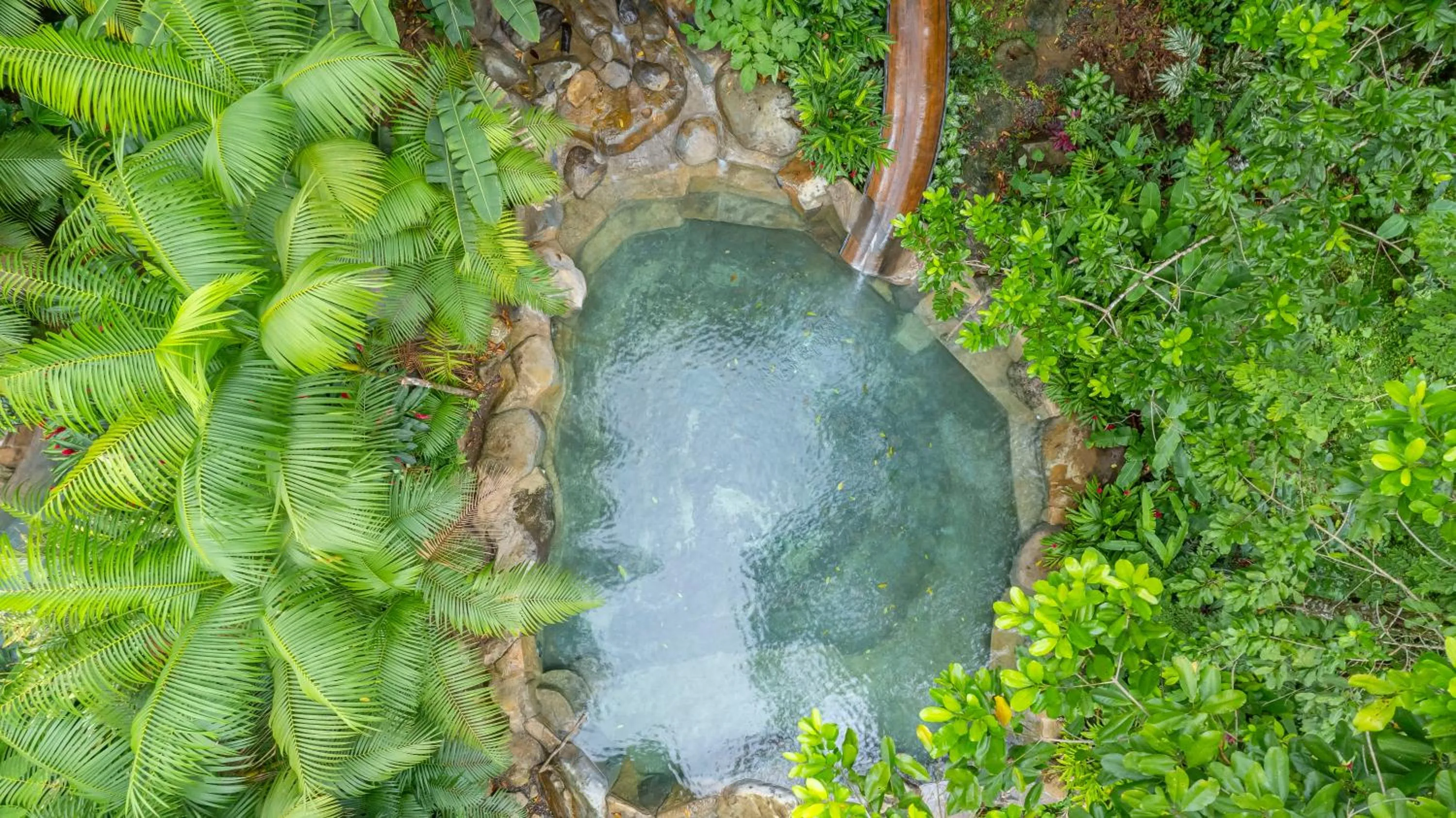 Swimming pool in Chachagua Rainforest Hotel & Hot Springs