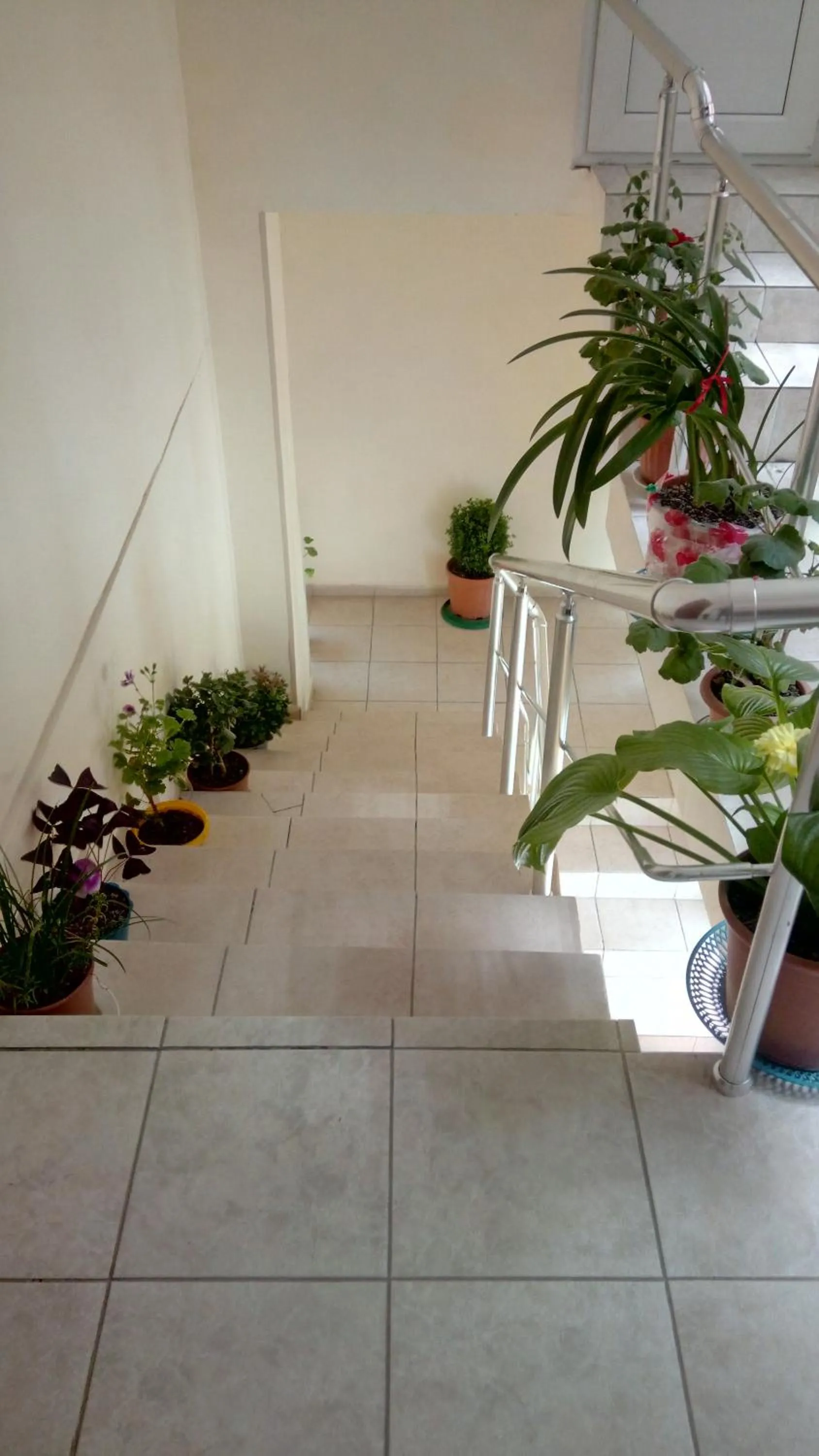 Sheki Guest House