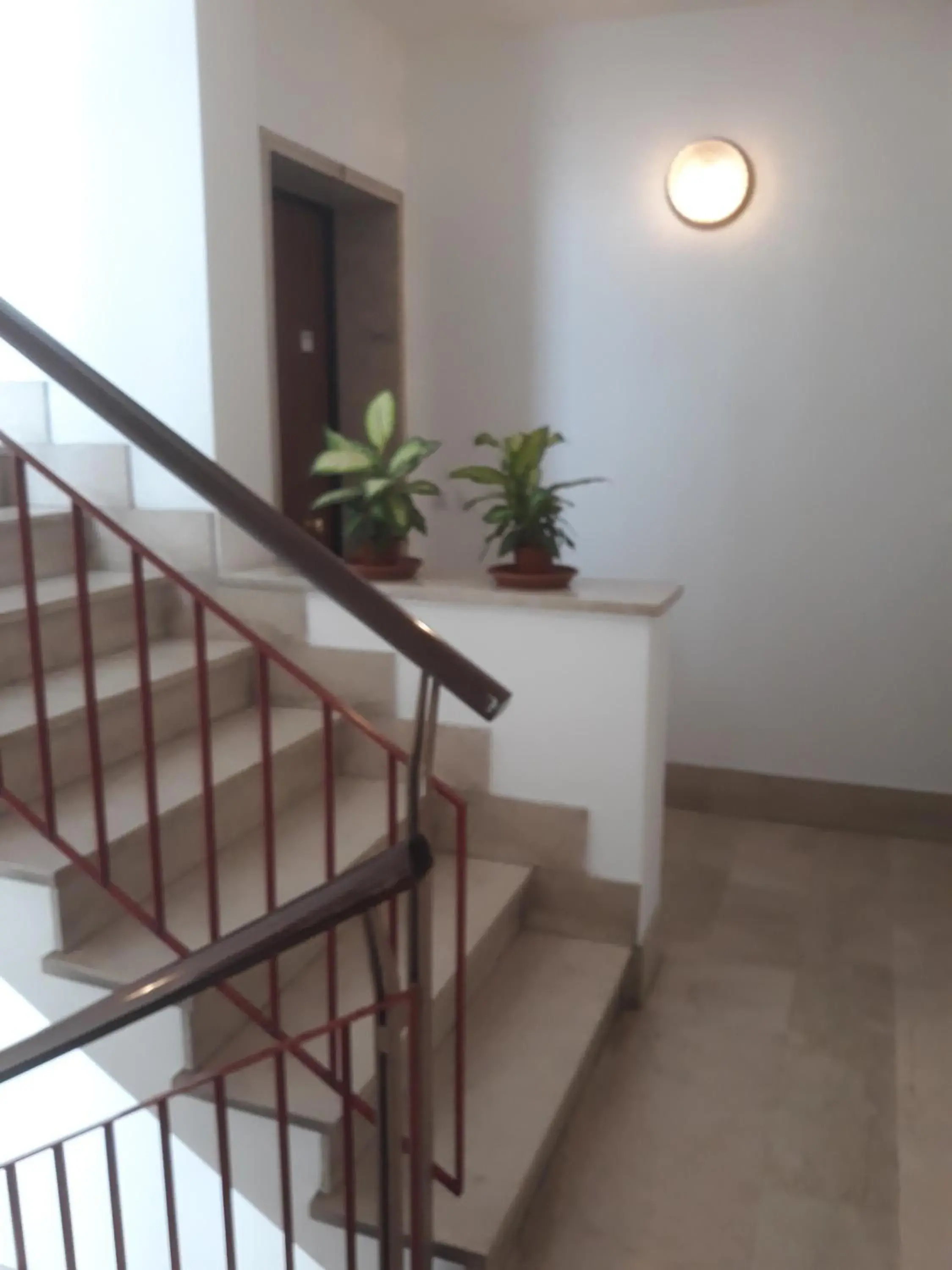 Facade/entrance in Venice Holiday Facade/entrance in Venice Holiday