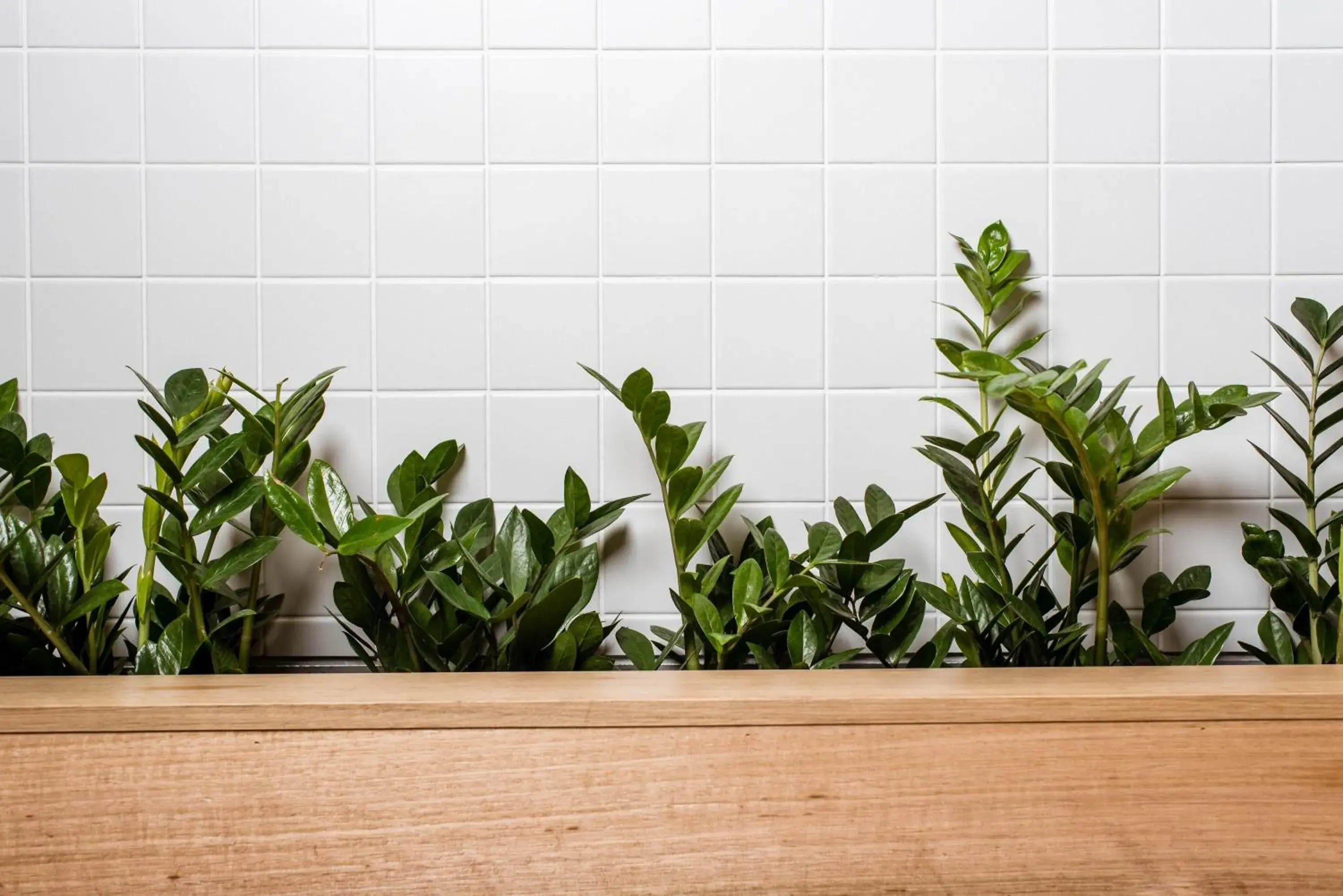 Restaurant/places to eat in Lakes Hotel Restaurant/places to eat in Lakes Hotel