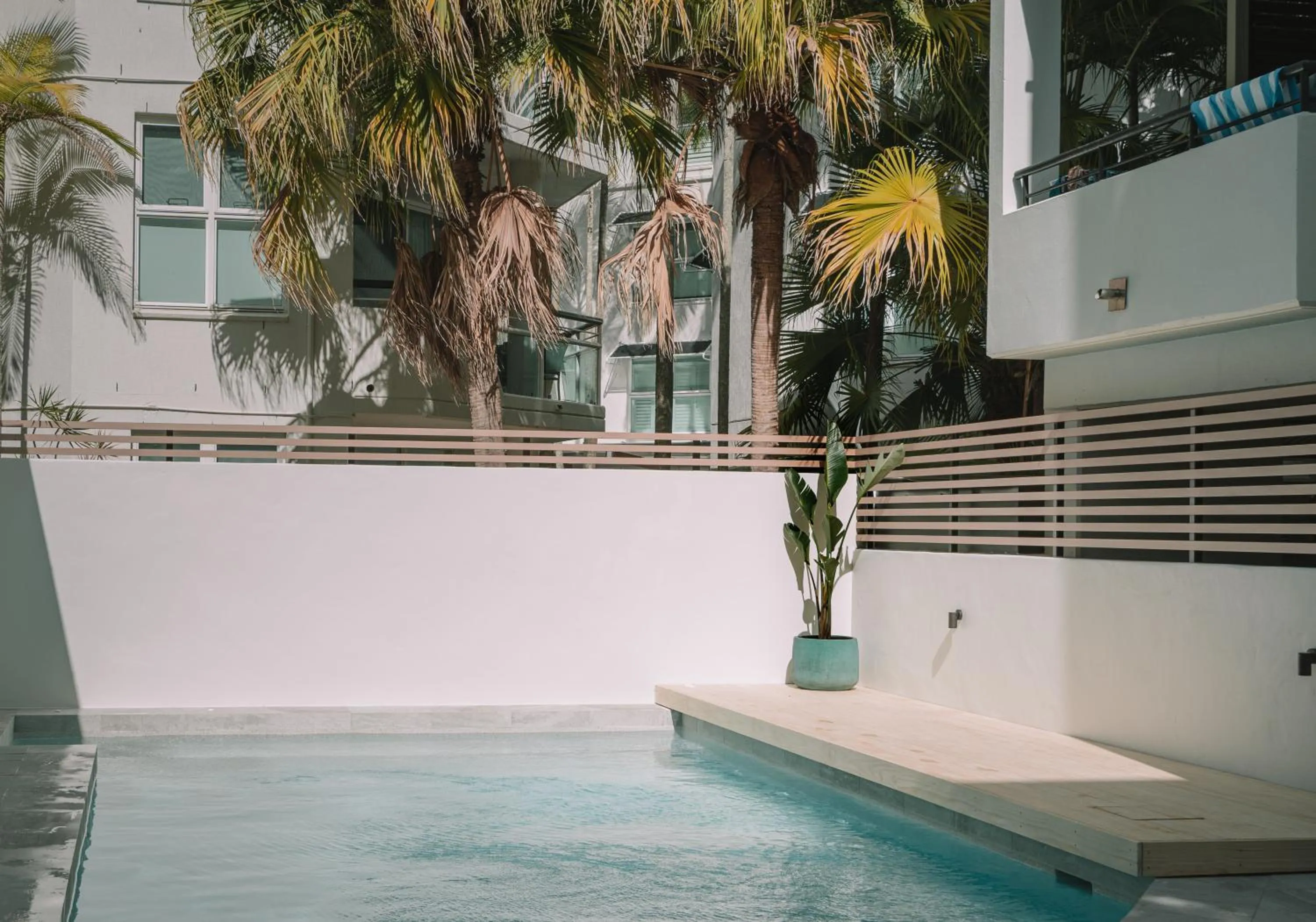 Swimming pool in Bella Casa Noosa