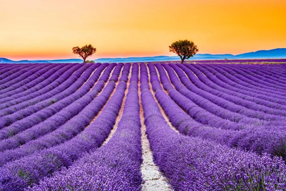 La Villa Tria Castella