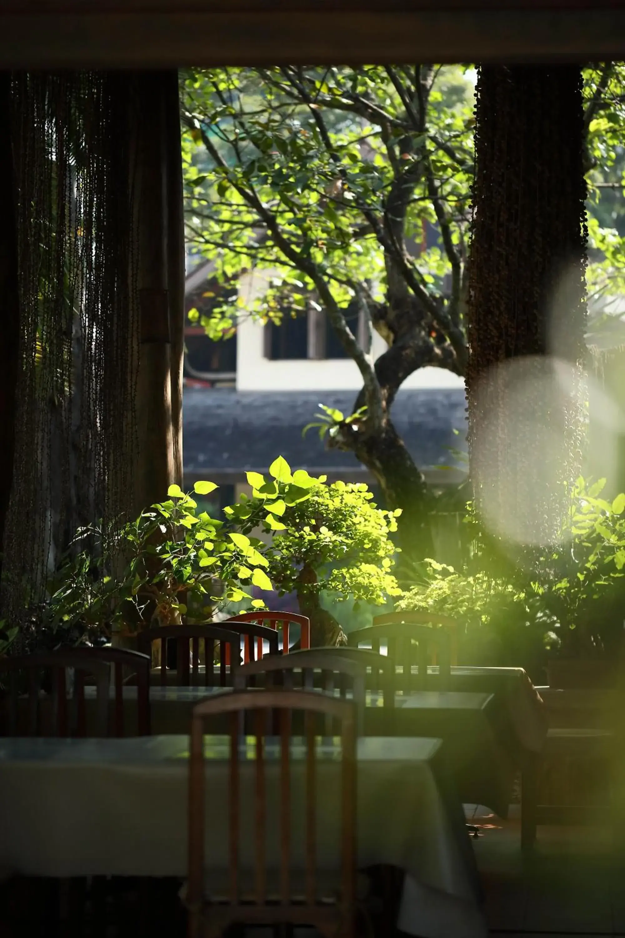 Restaurant/places to eat in VC@Suanpaak Boutique Hotel & Service Apartment Restaurant/places to eat in VC@Suanpaak Boutique Hotel & Service Apartment