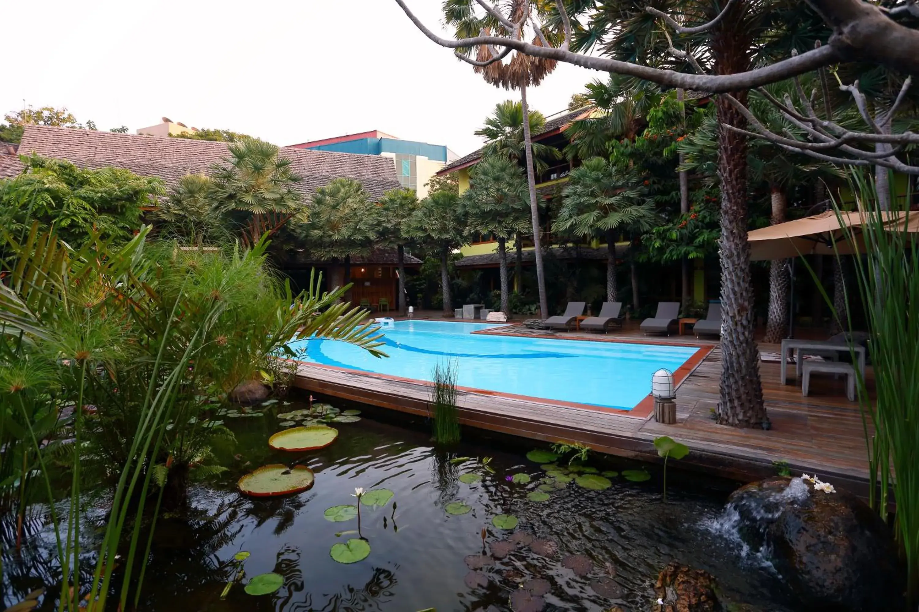 Swimming pool in VC@Suanpaak Boutique Hotel & Service Apartment Swimming pool in VC@Suanpaak Boutique Hotel & Service Apartment