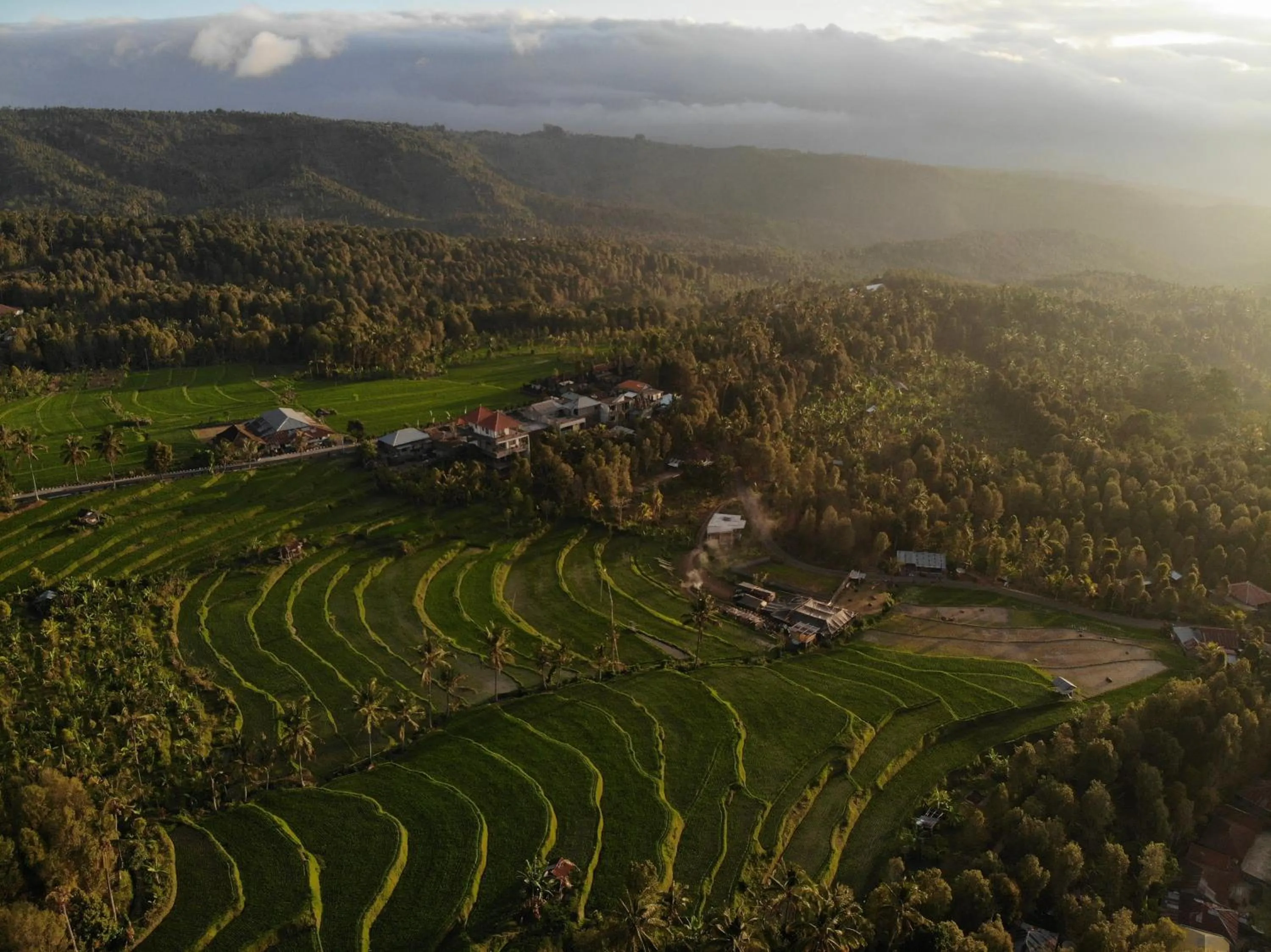 Natural landscape in Candra Cottage