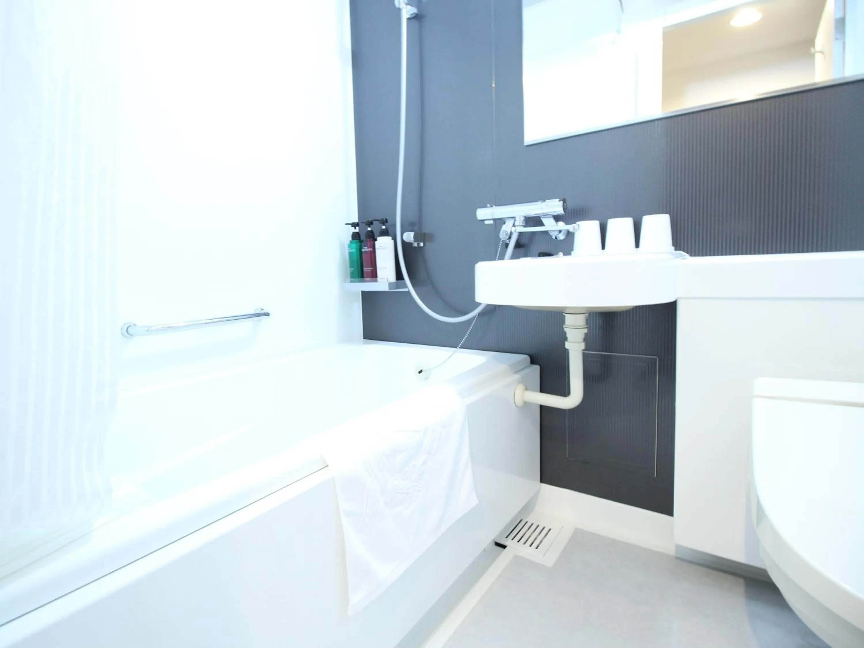 Bathroom in APA Hotel Hikoneminami