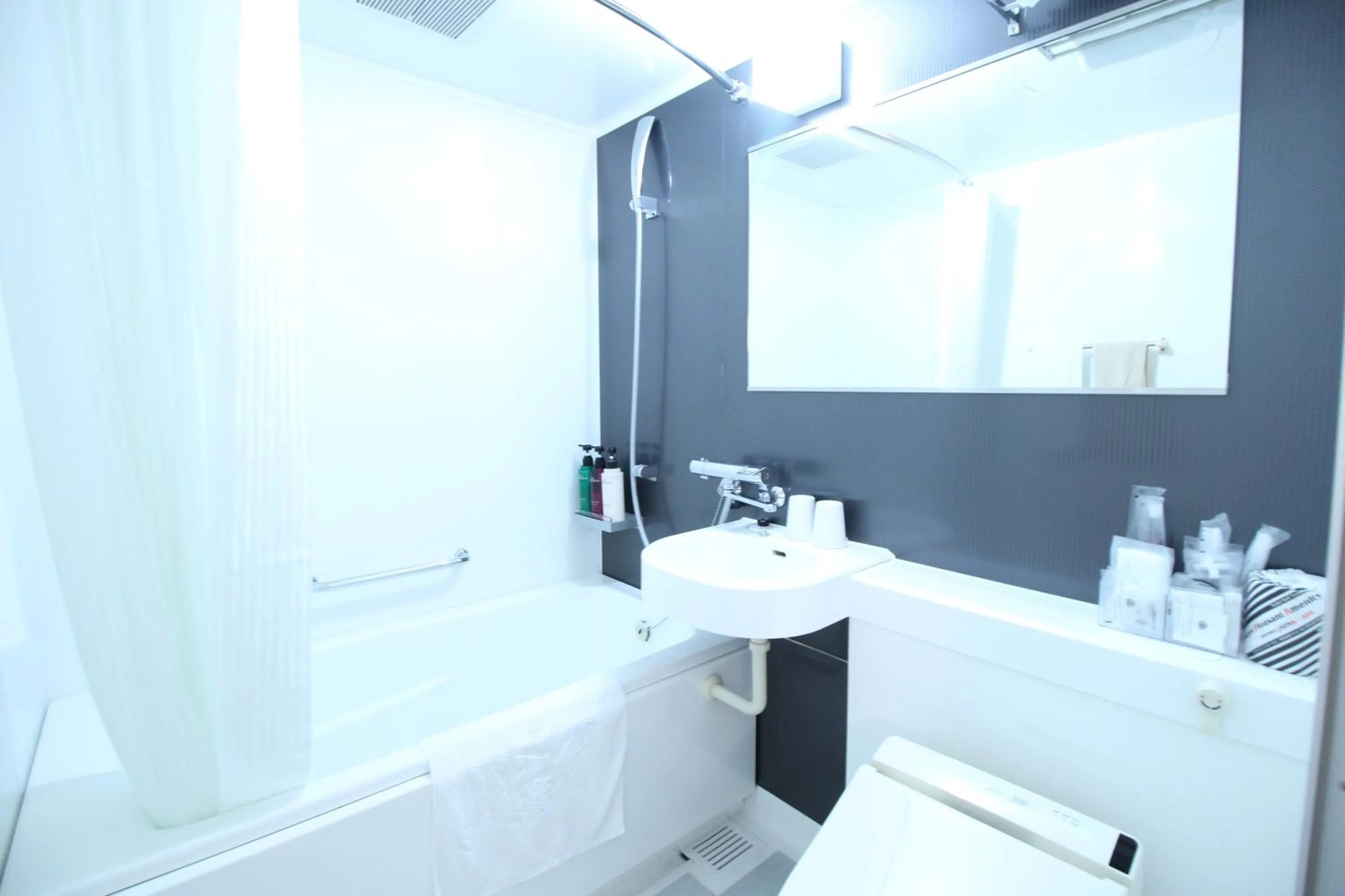 Bathroom in APA Hotel Hikoneminami