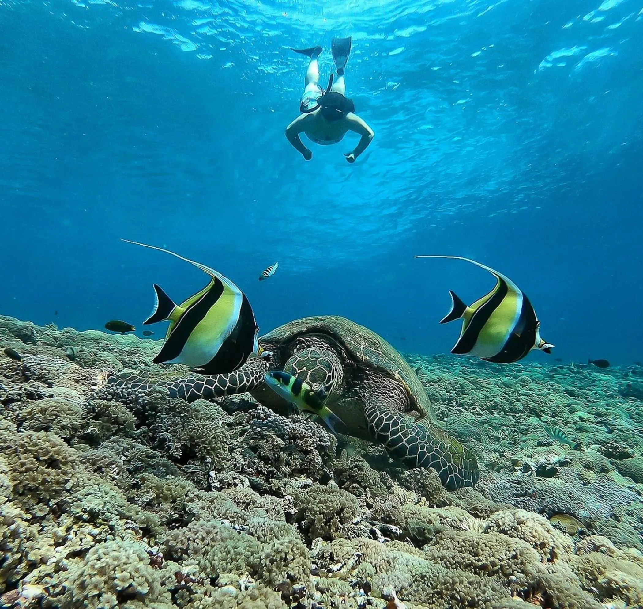 Activities in Kokomo Resort