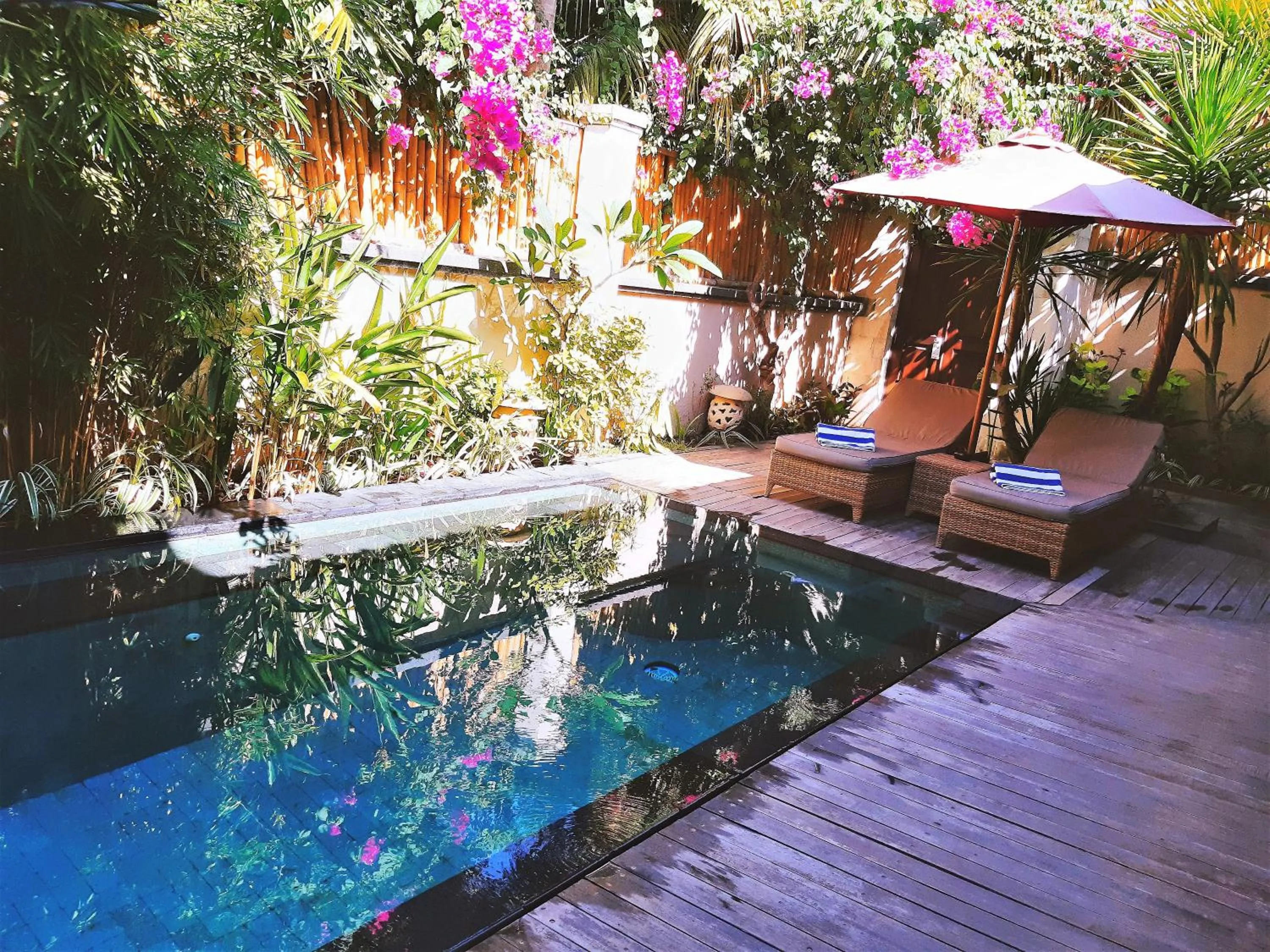 Swimming pool in The Beach House Resort