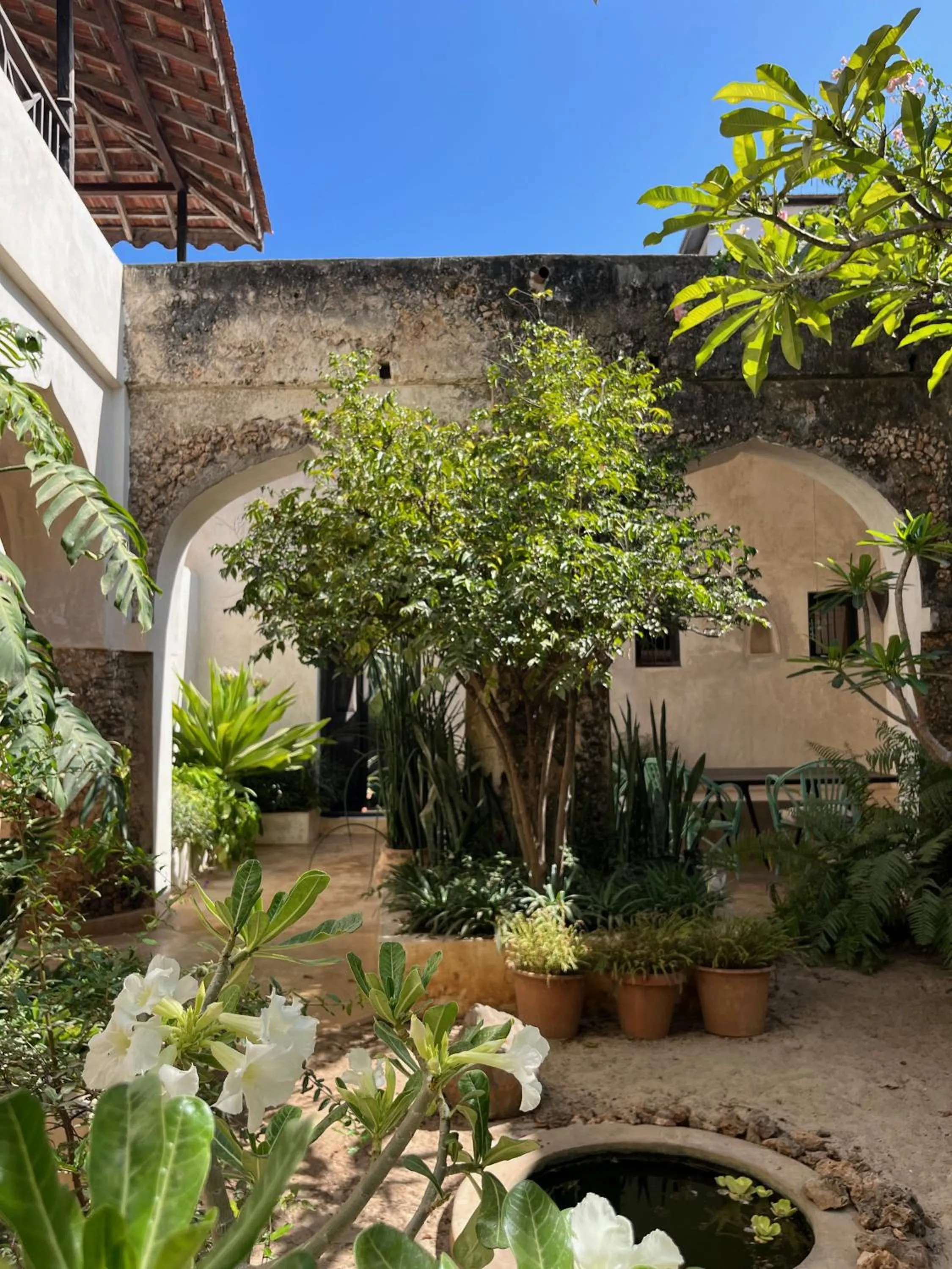 Patio in Subira House