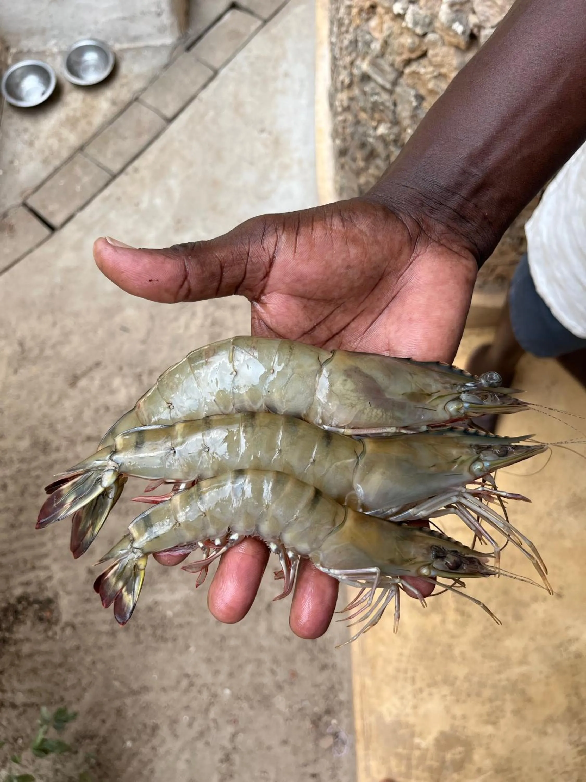 Food in Subira House