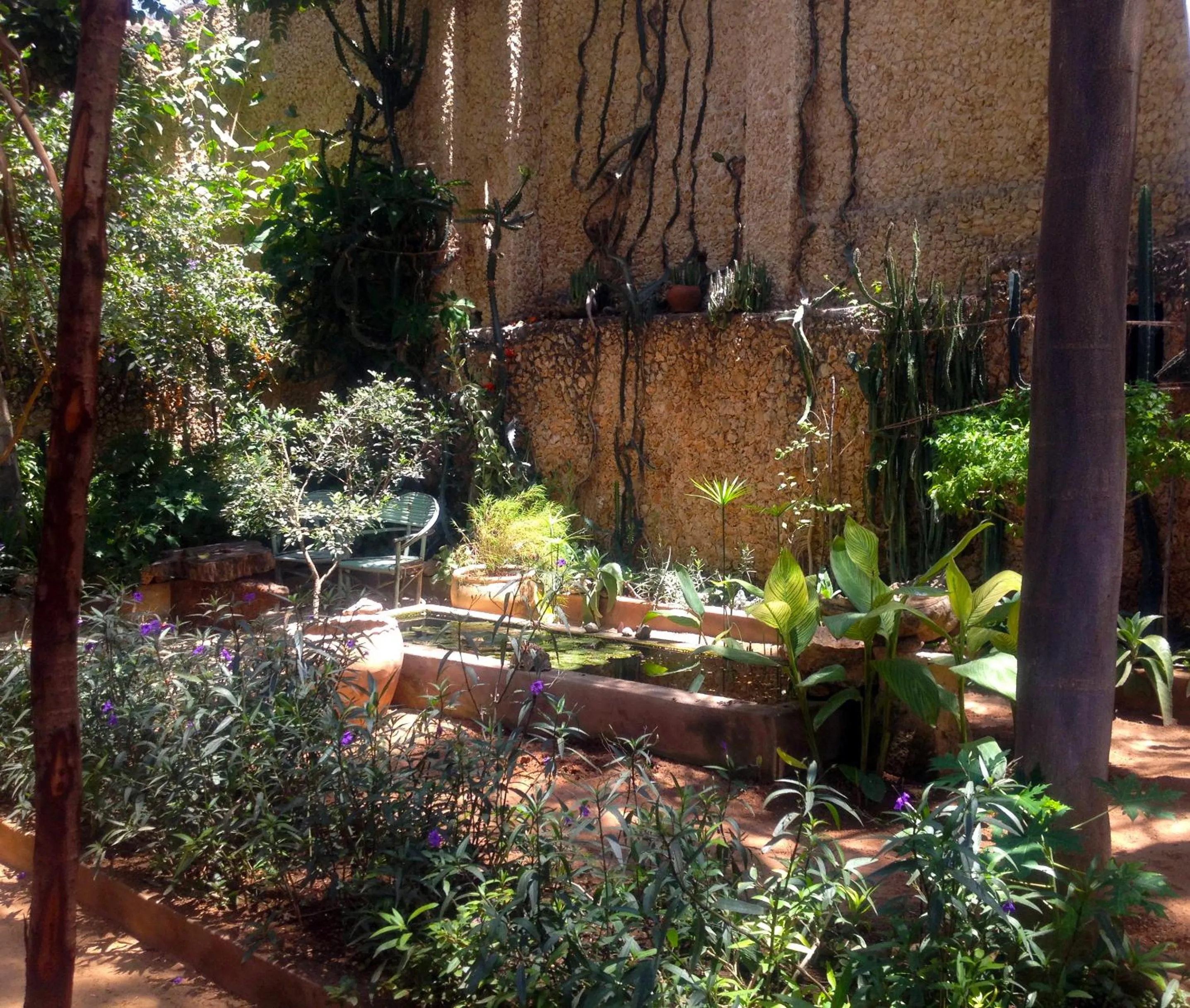 Natural landscape in Subira House