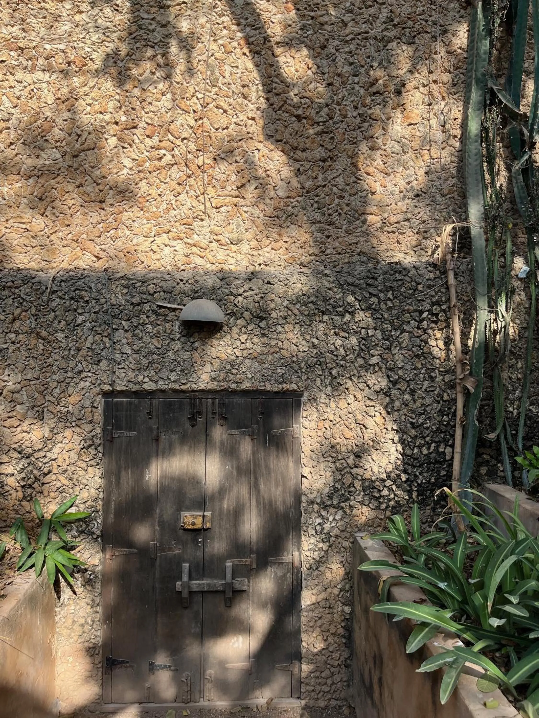 Garden in Subira House