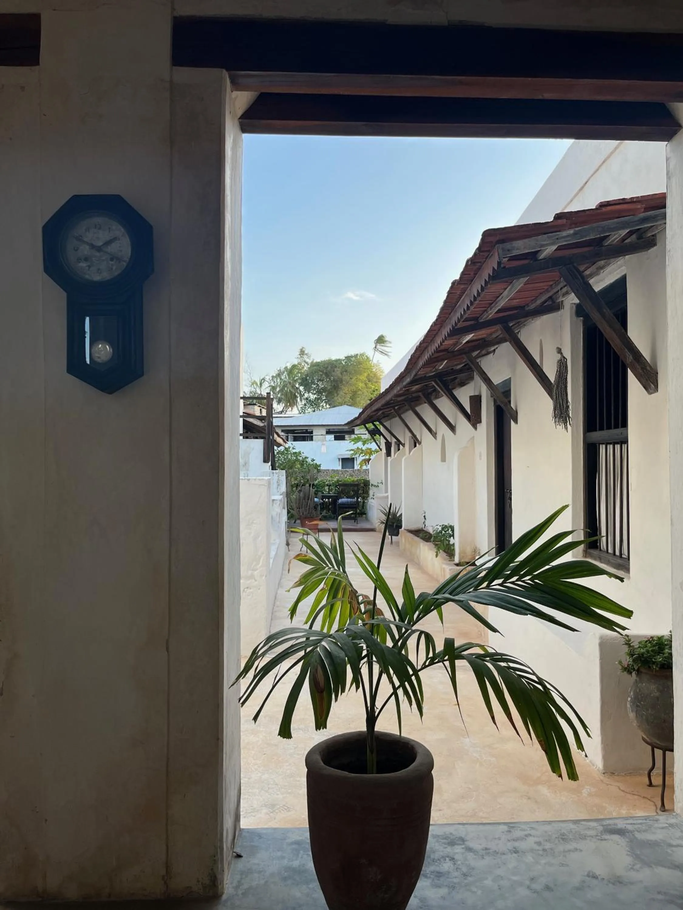 Patio in Subira House