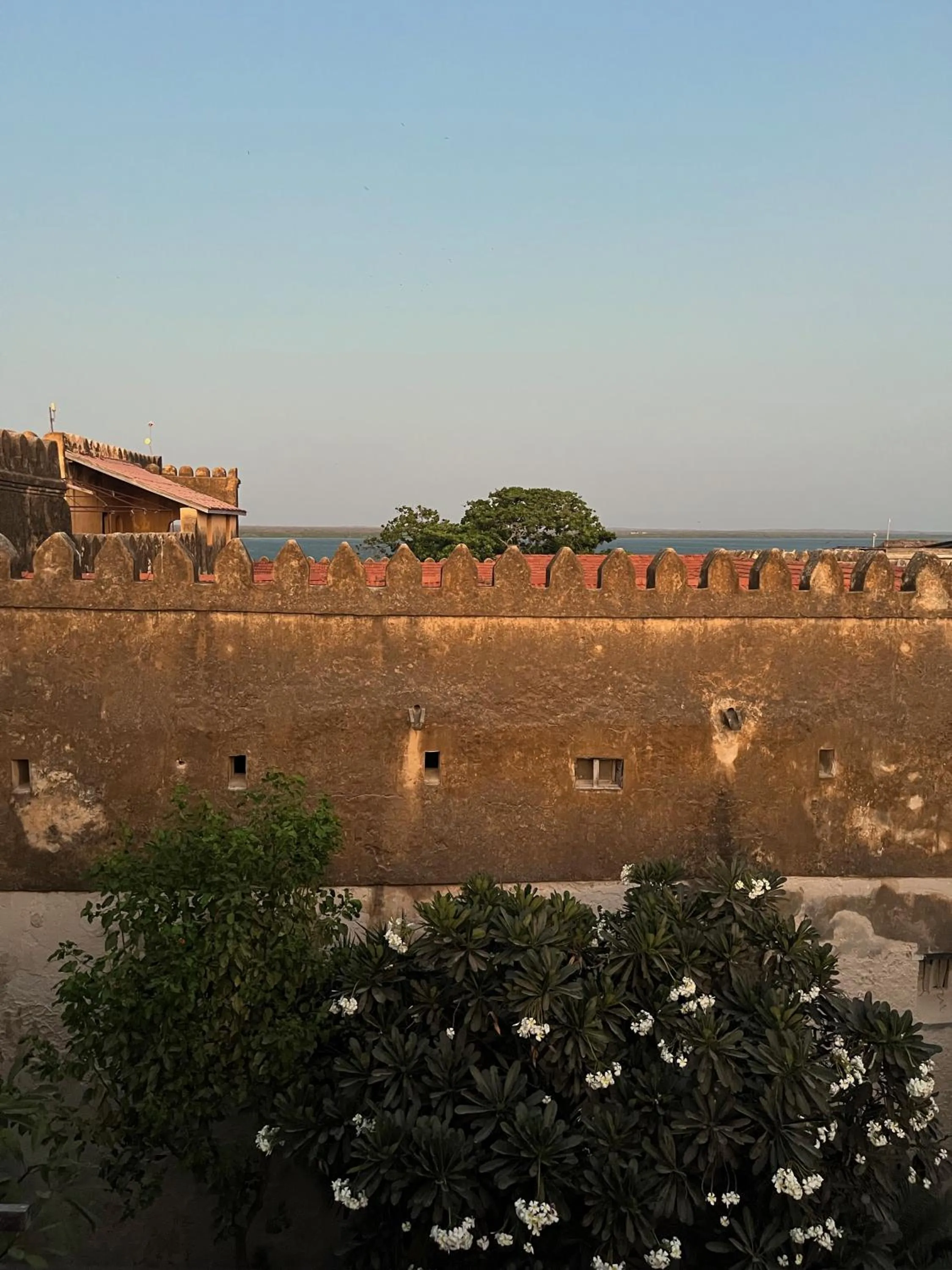 View (from property/room) in Subira House