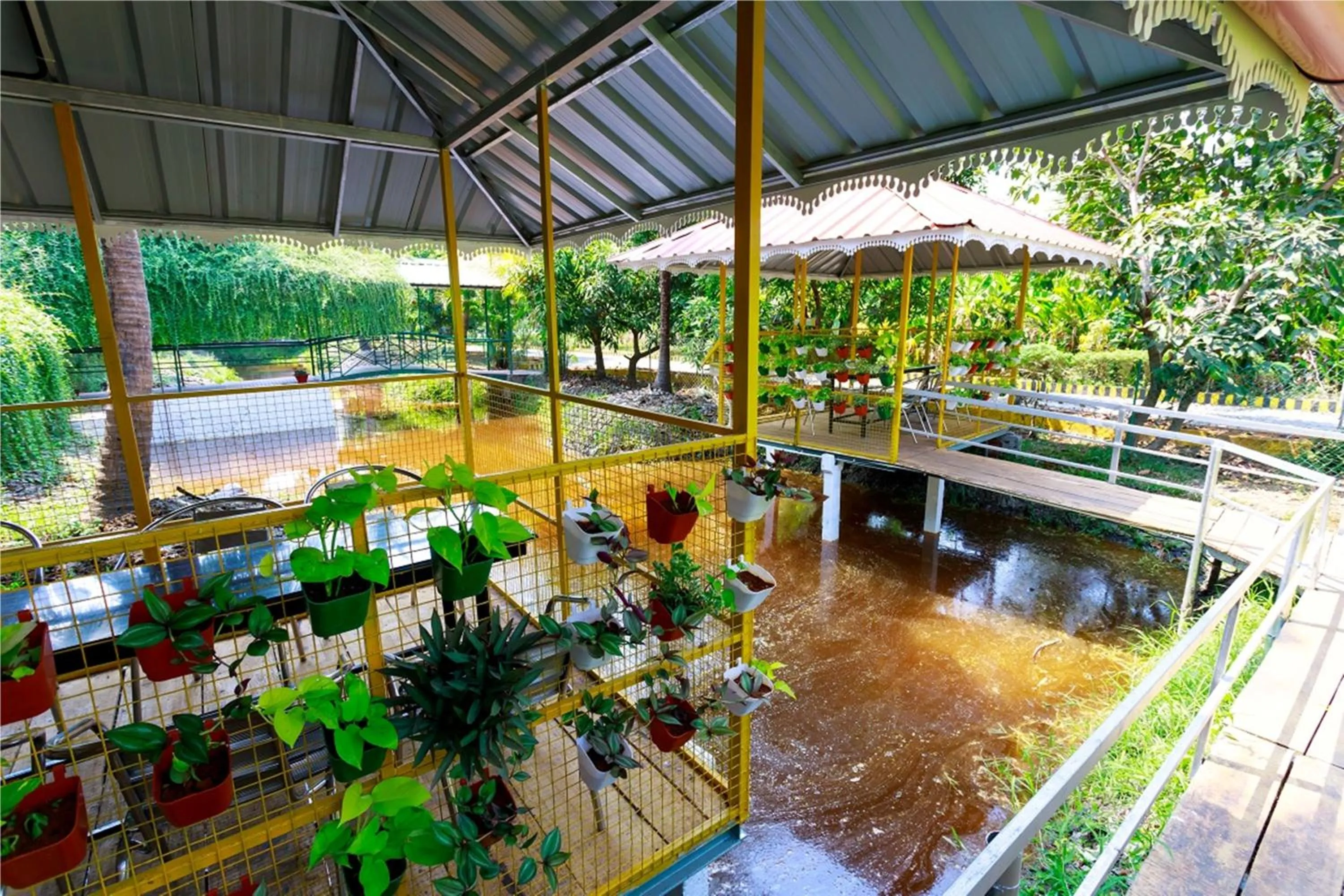 Restaurant/places to eat in Green Fields Kumarakom