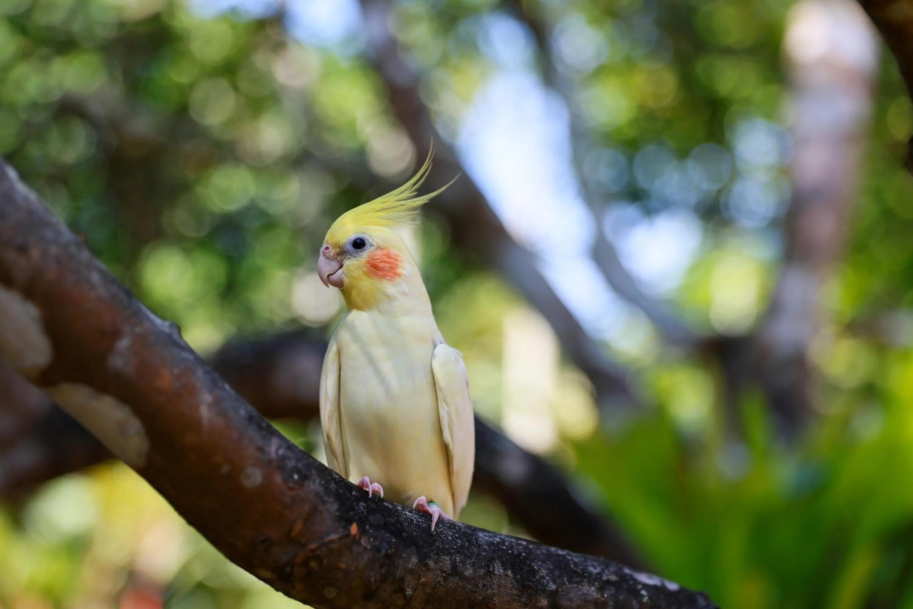 Baan Vanida Garden Resort