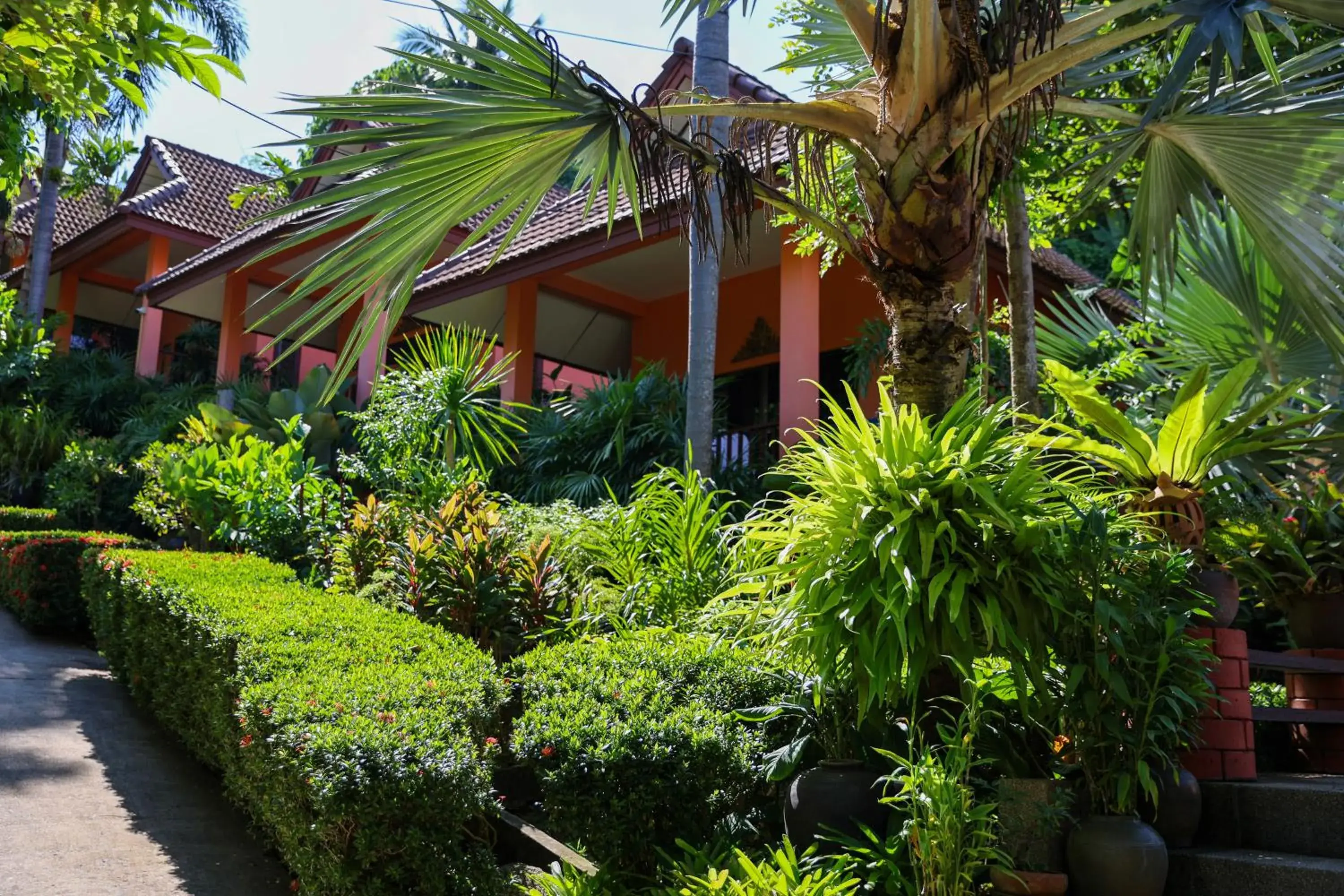 Garden view in Baan Vanida Garden Resort Garden view in Baan Vanida Garden Resort