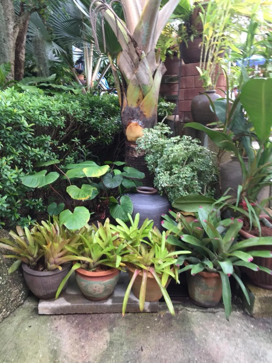 Garden view in Baan Vanida Garden Resort