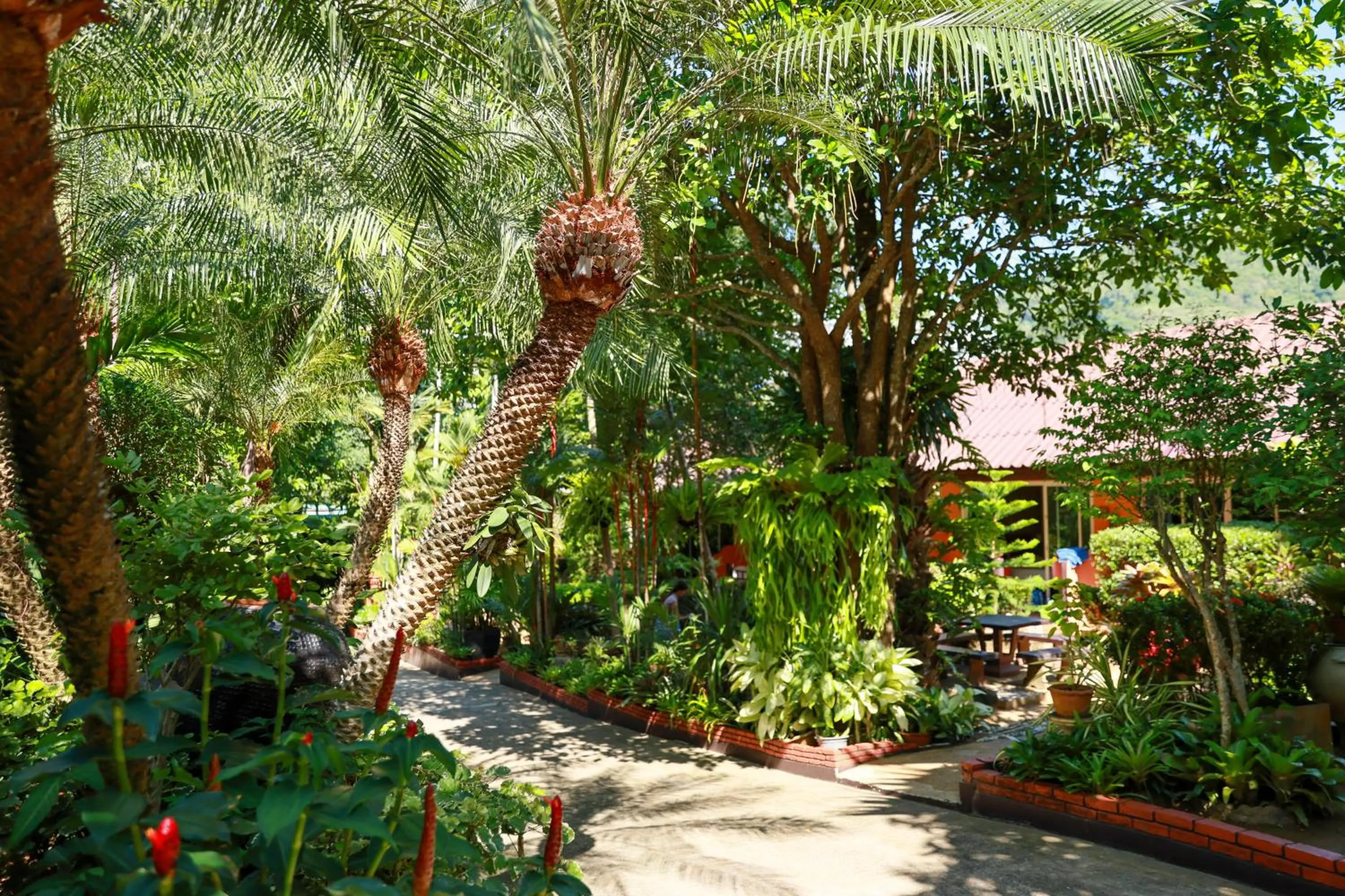 Garden in Baan Vanida Garden Resort