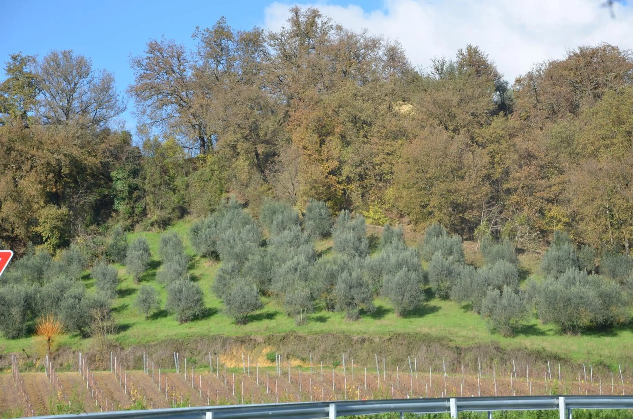 Mountain view in Hotel Break House Ristorante