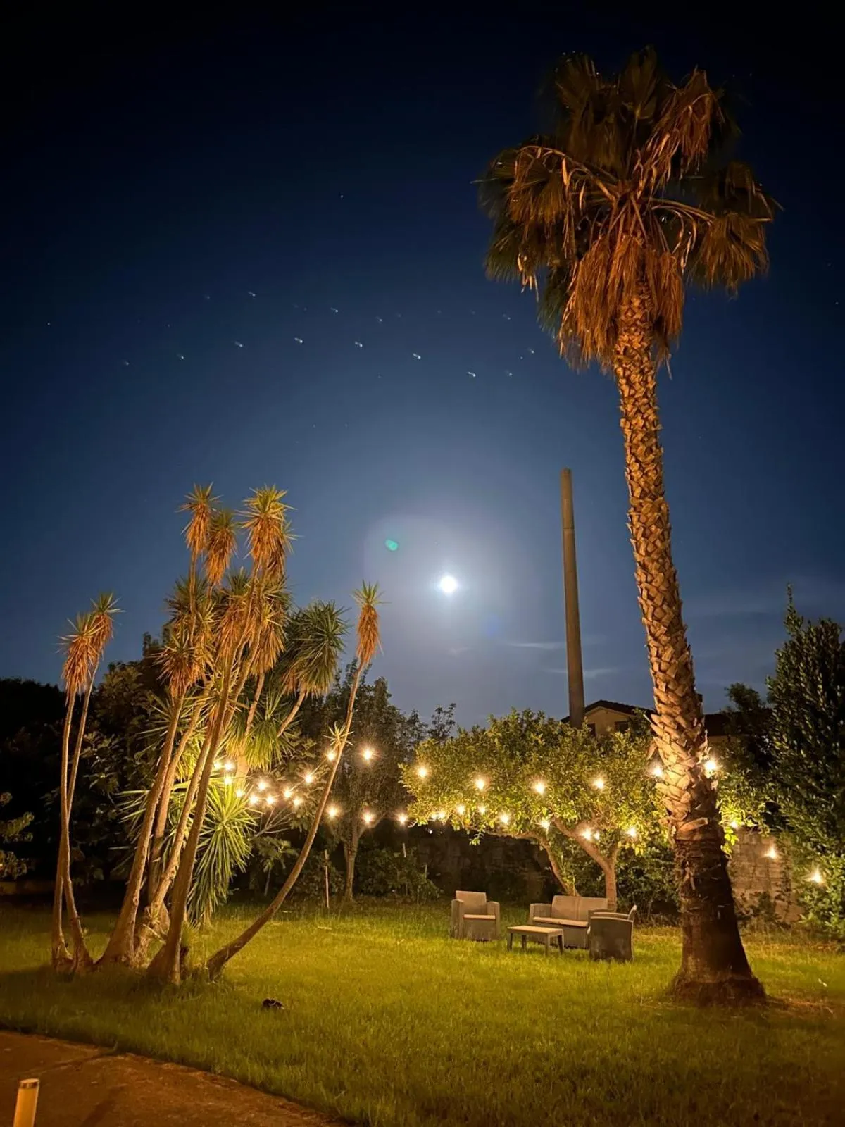 Garden in Chiara’s Home