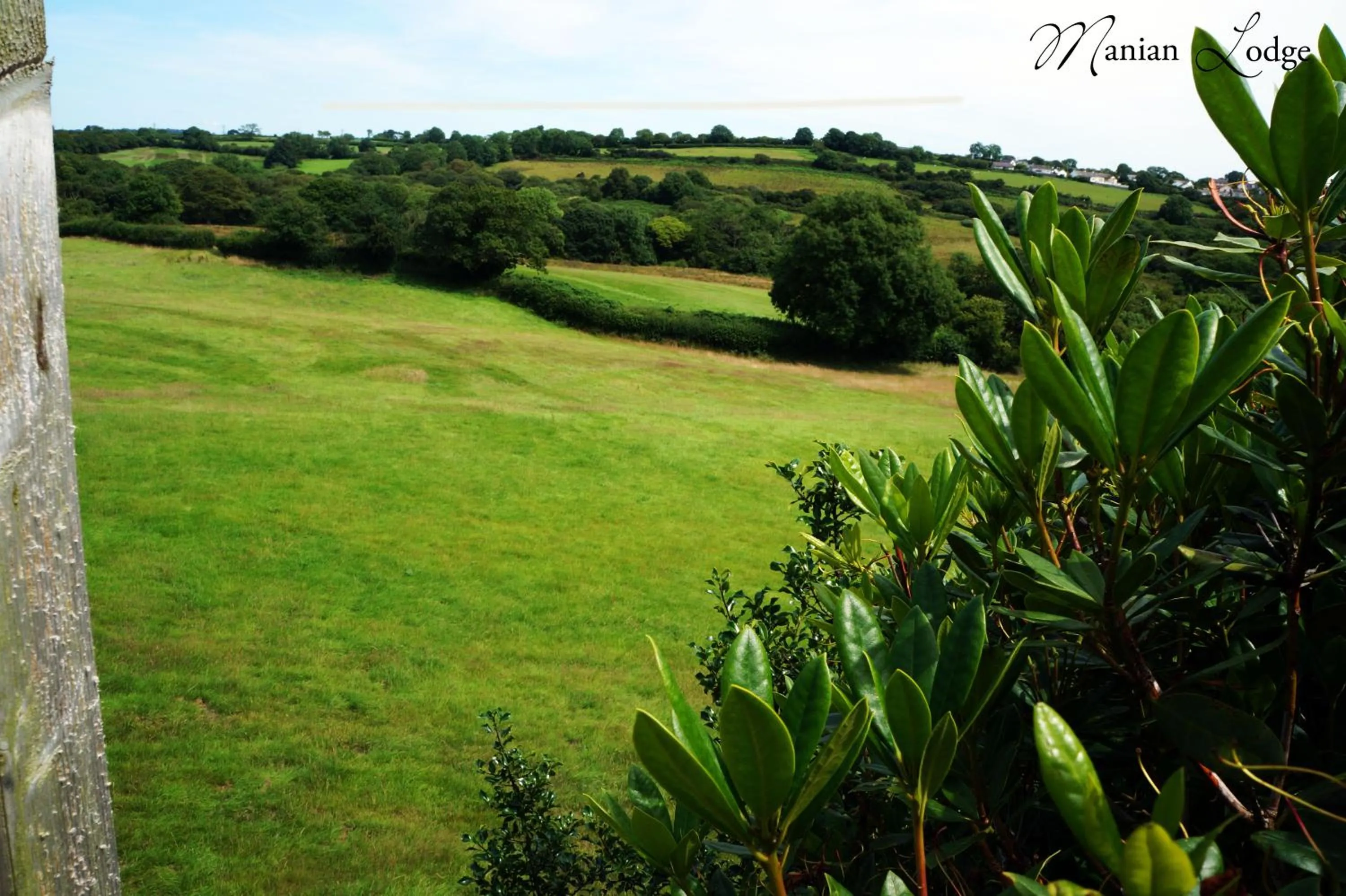 Natural landscape in The Manian