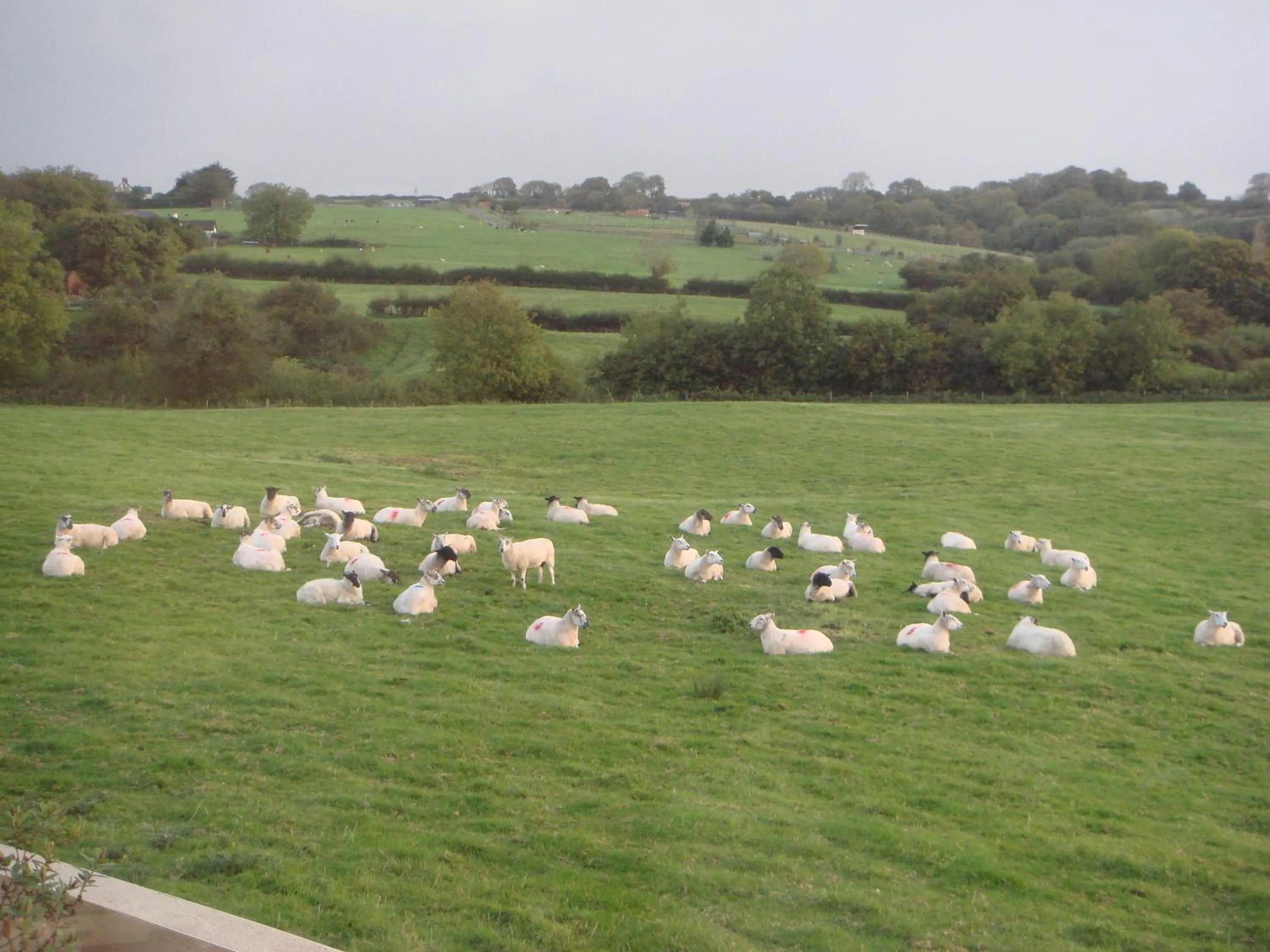 Area and facilities in The Manian