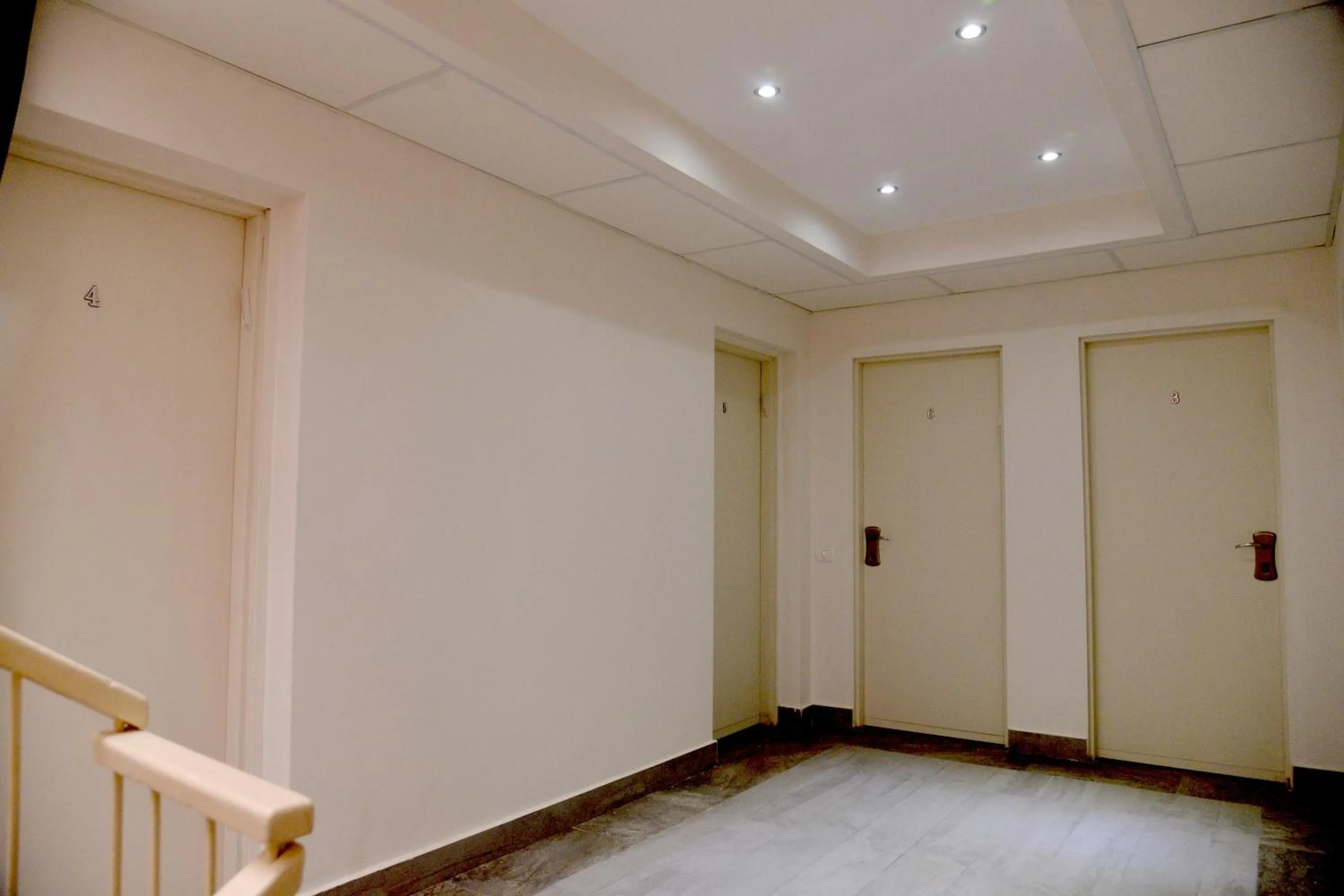 Decorative detail in David Hameleh House