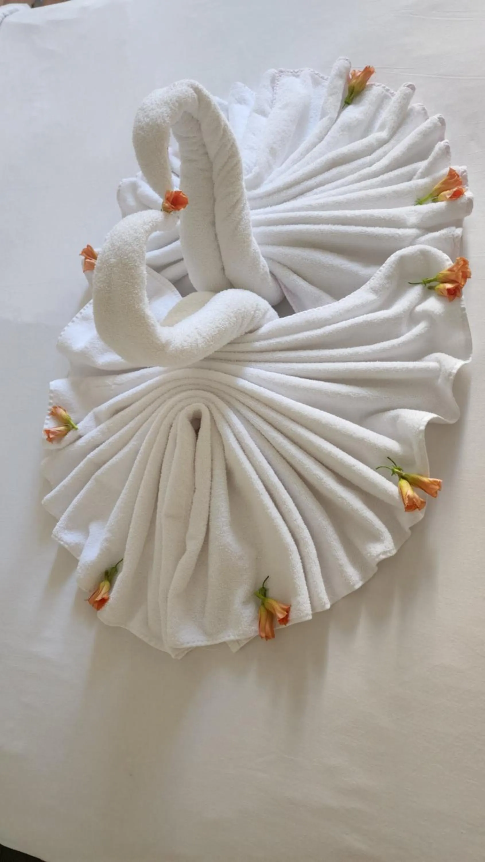 Bed in David Hameleh House