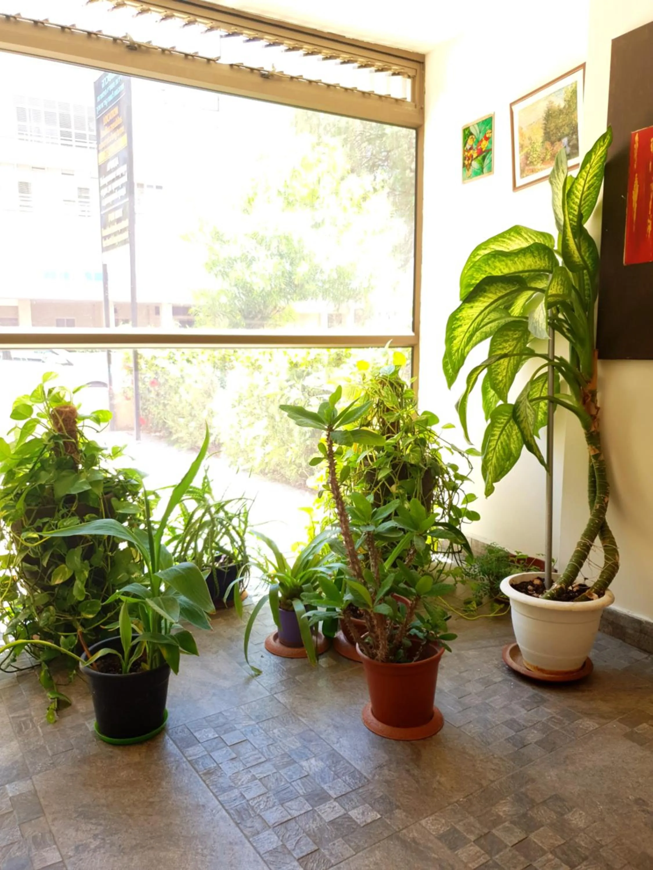 Lobby or reception in David Hameleh House