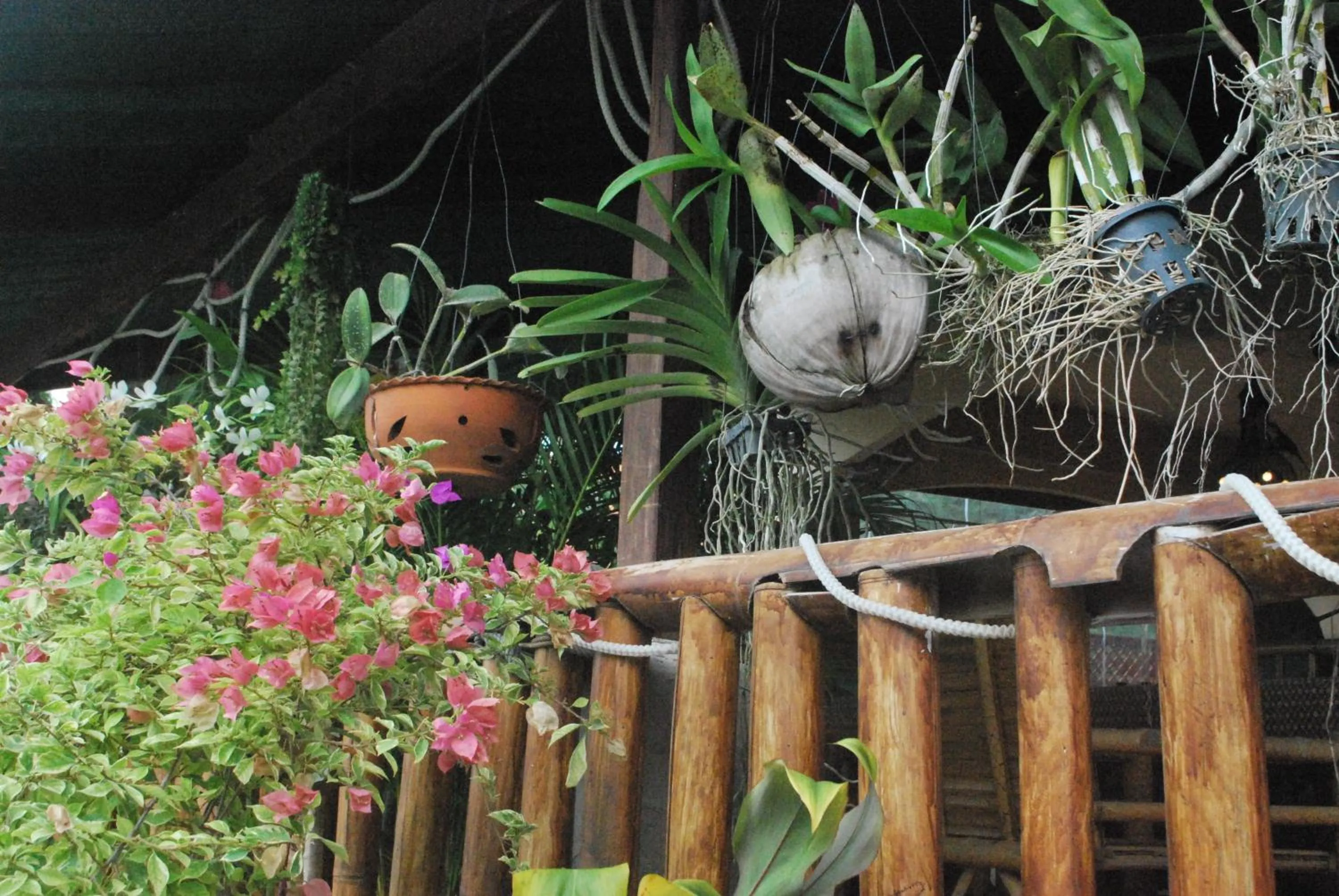 Balcony/Terrace in Similan Hotel