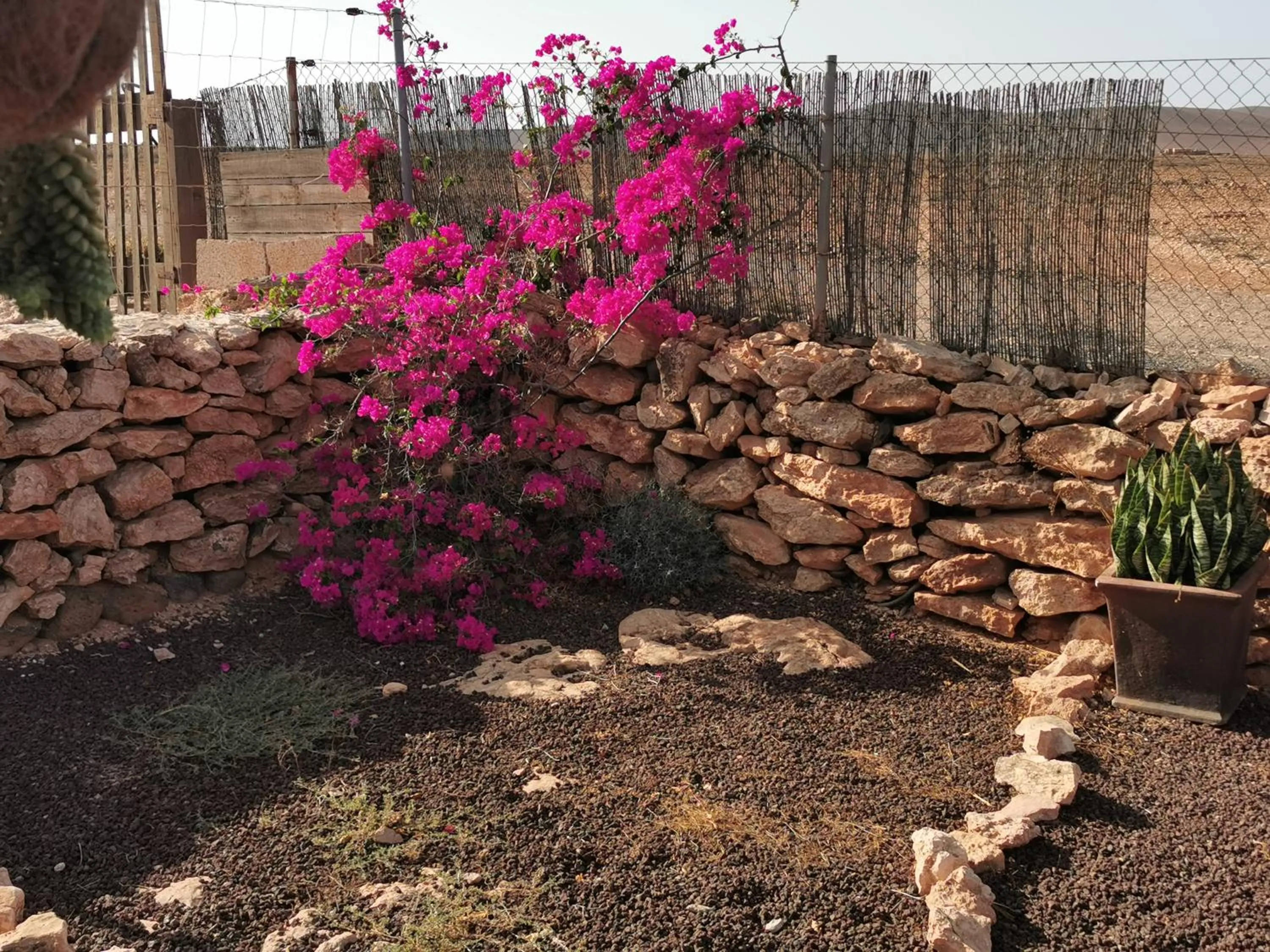 Off site in Villa Cecilio