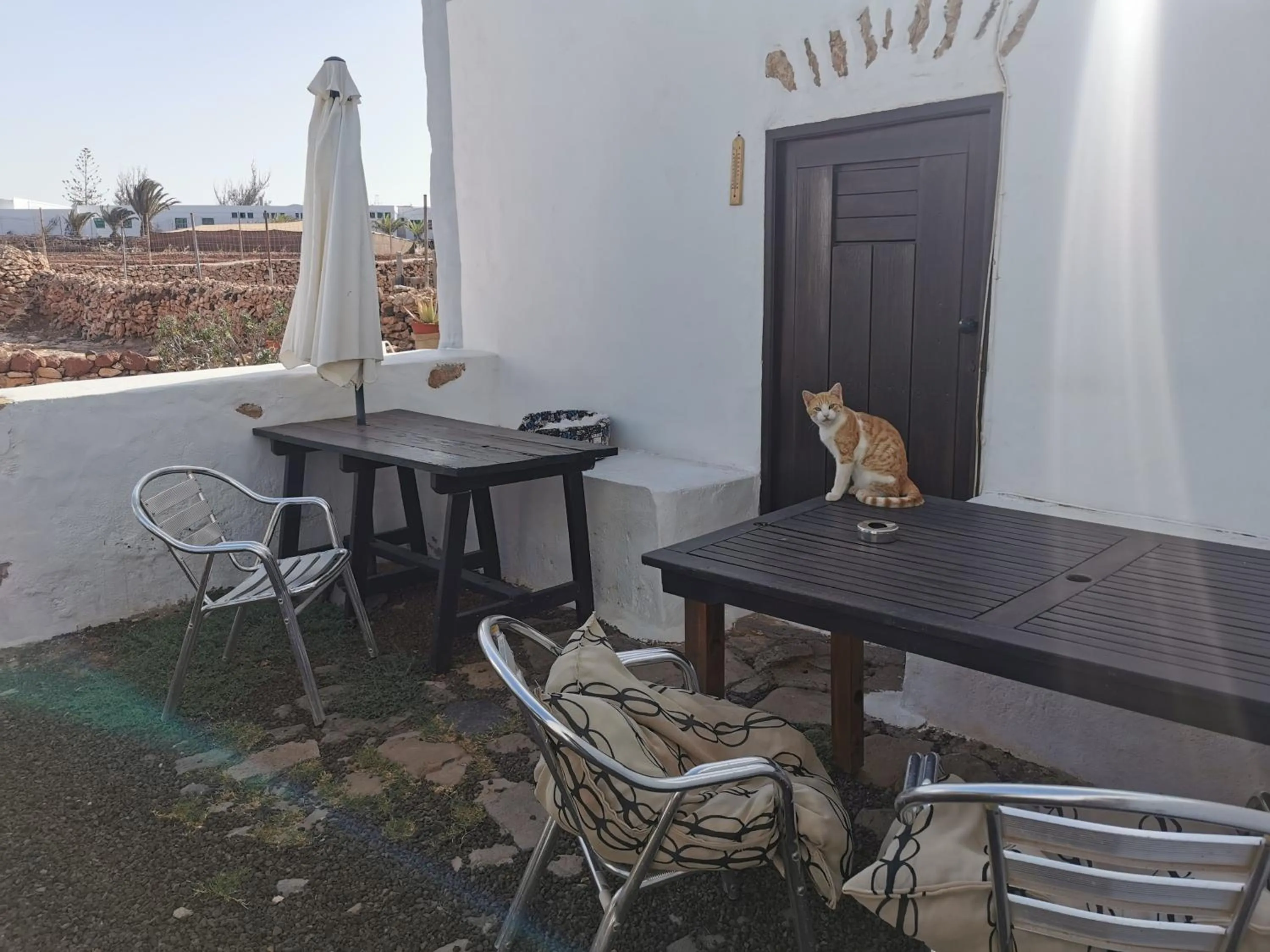 Off site in Villa Cecilio