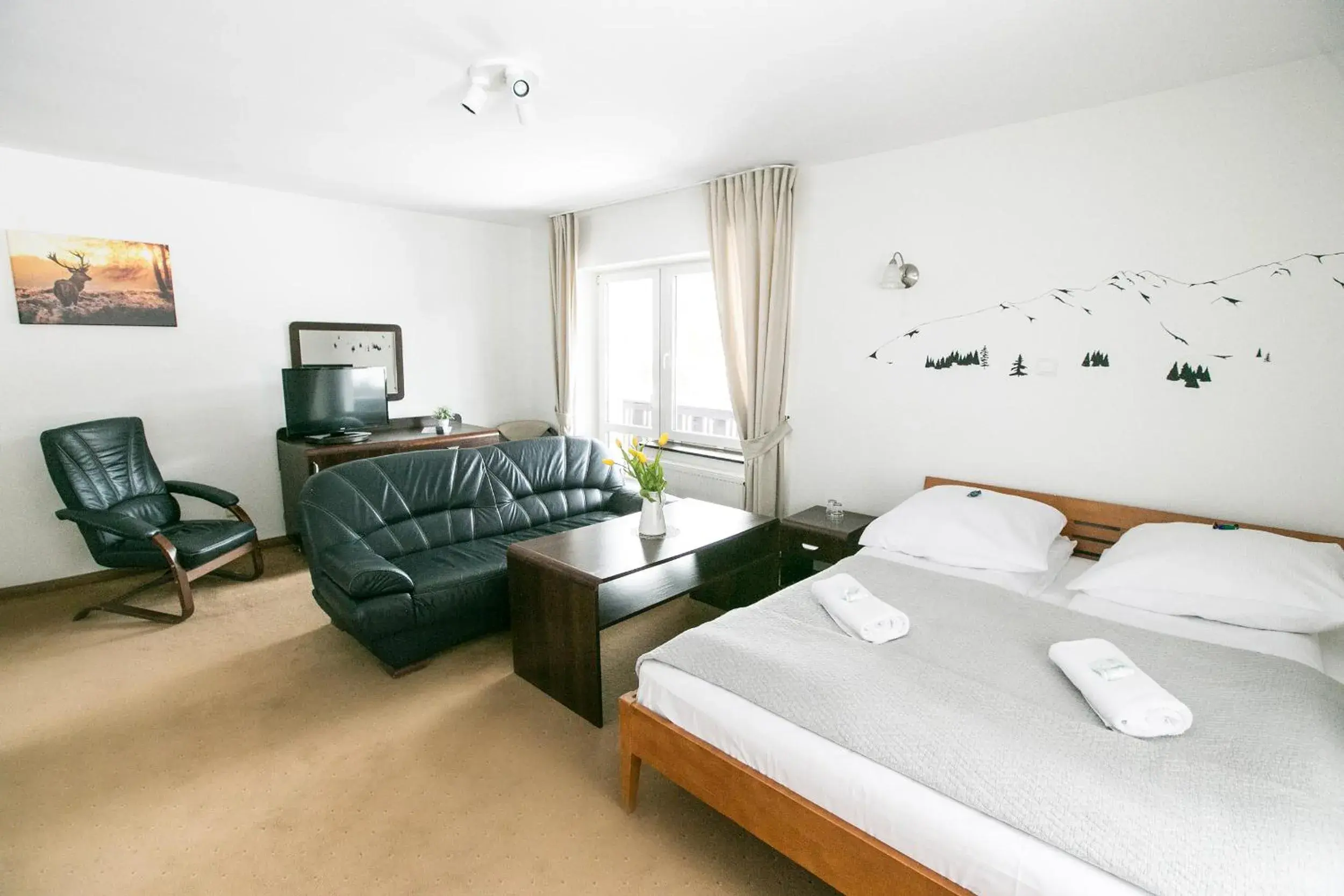 Double Room with Spa Bath in Rudy Lis Szczyrk Double Room with Spa Bath in Rudy Lis Szczyrk