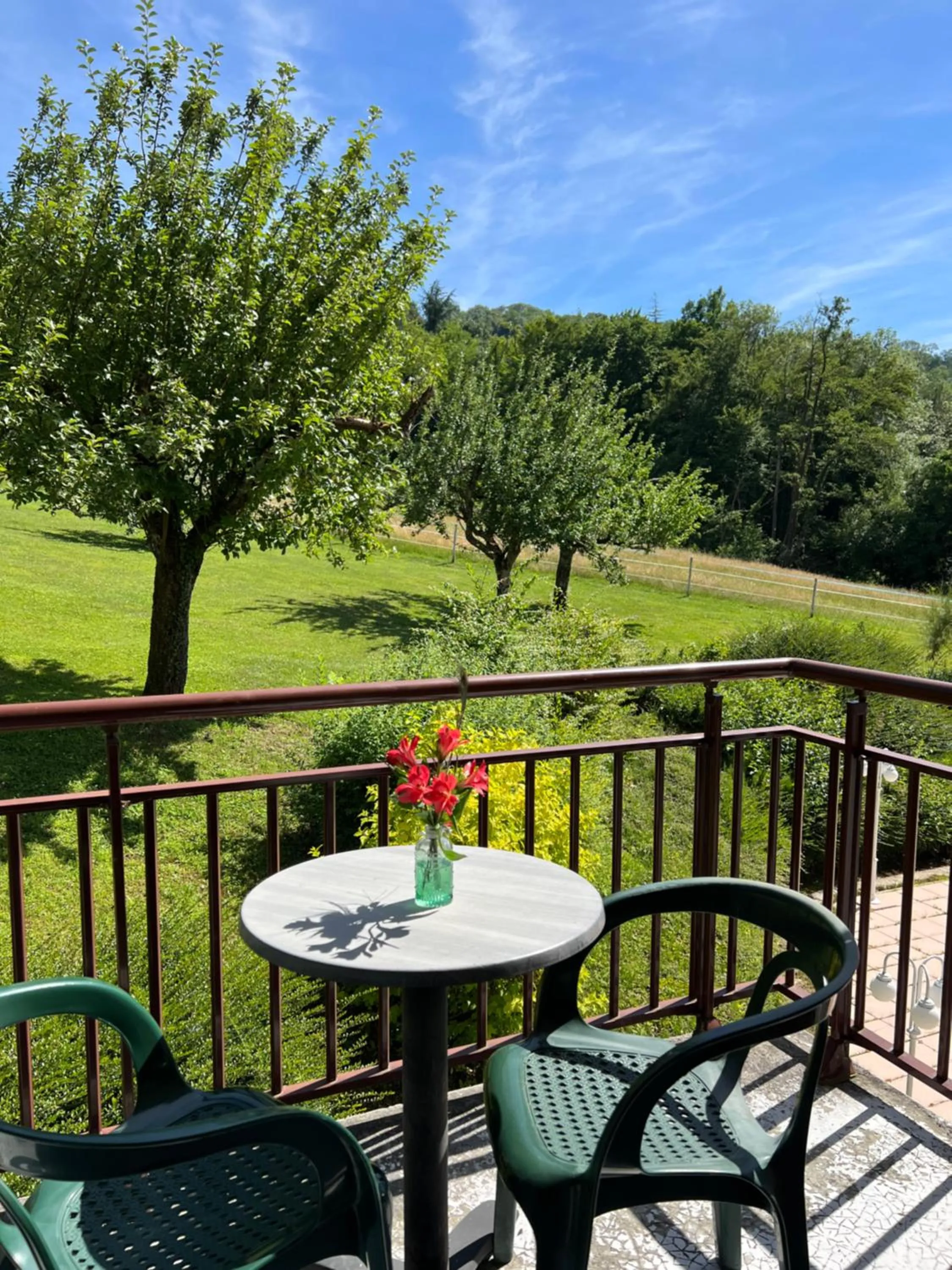 City view in Hôtel les Bergeronnettes