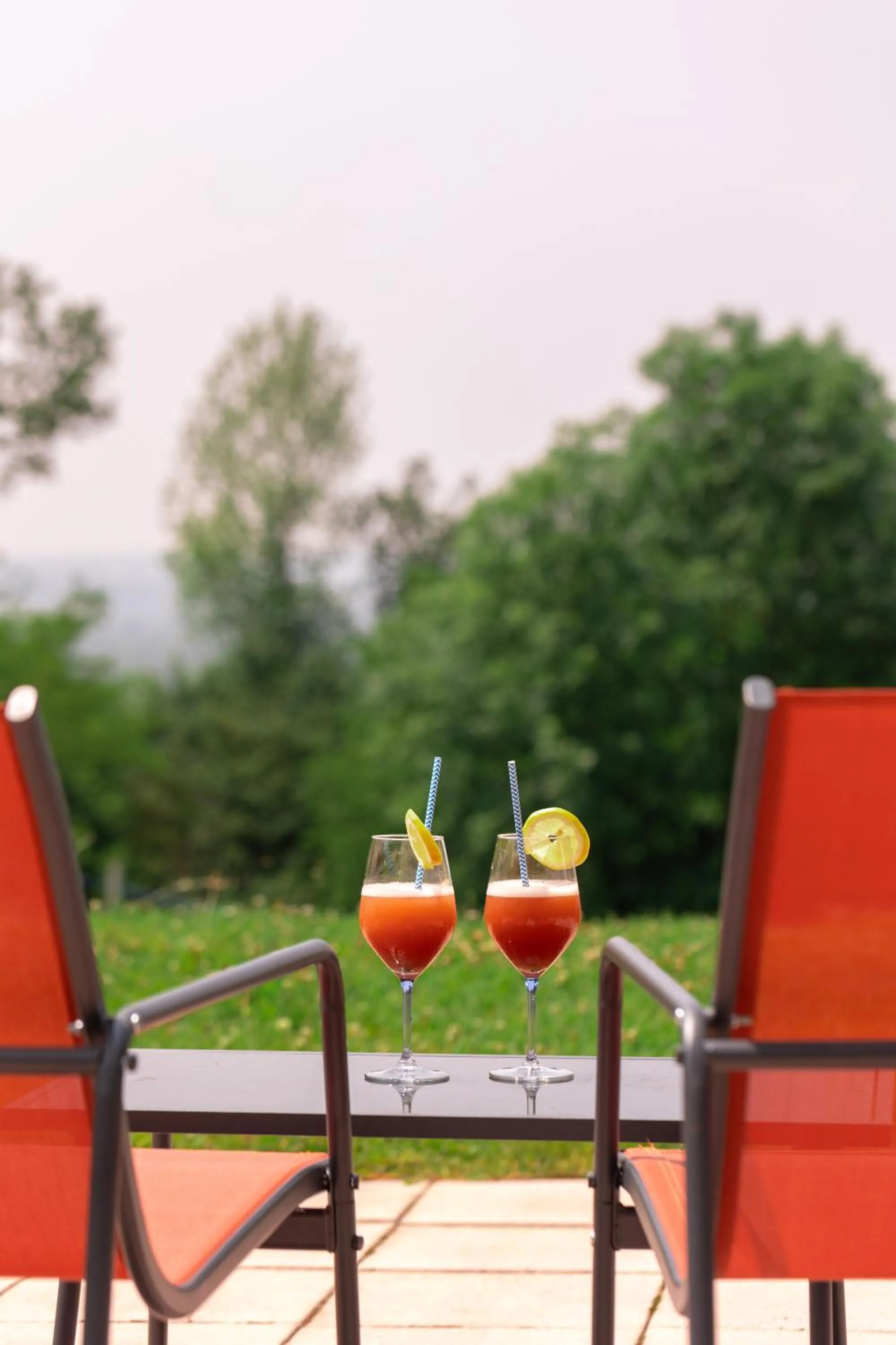 Patio in Hôtel les Bergeronnettes