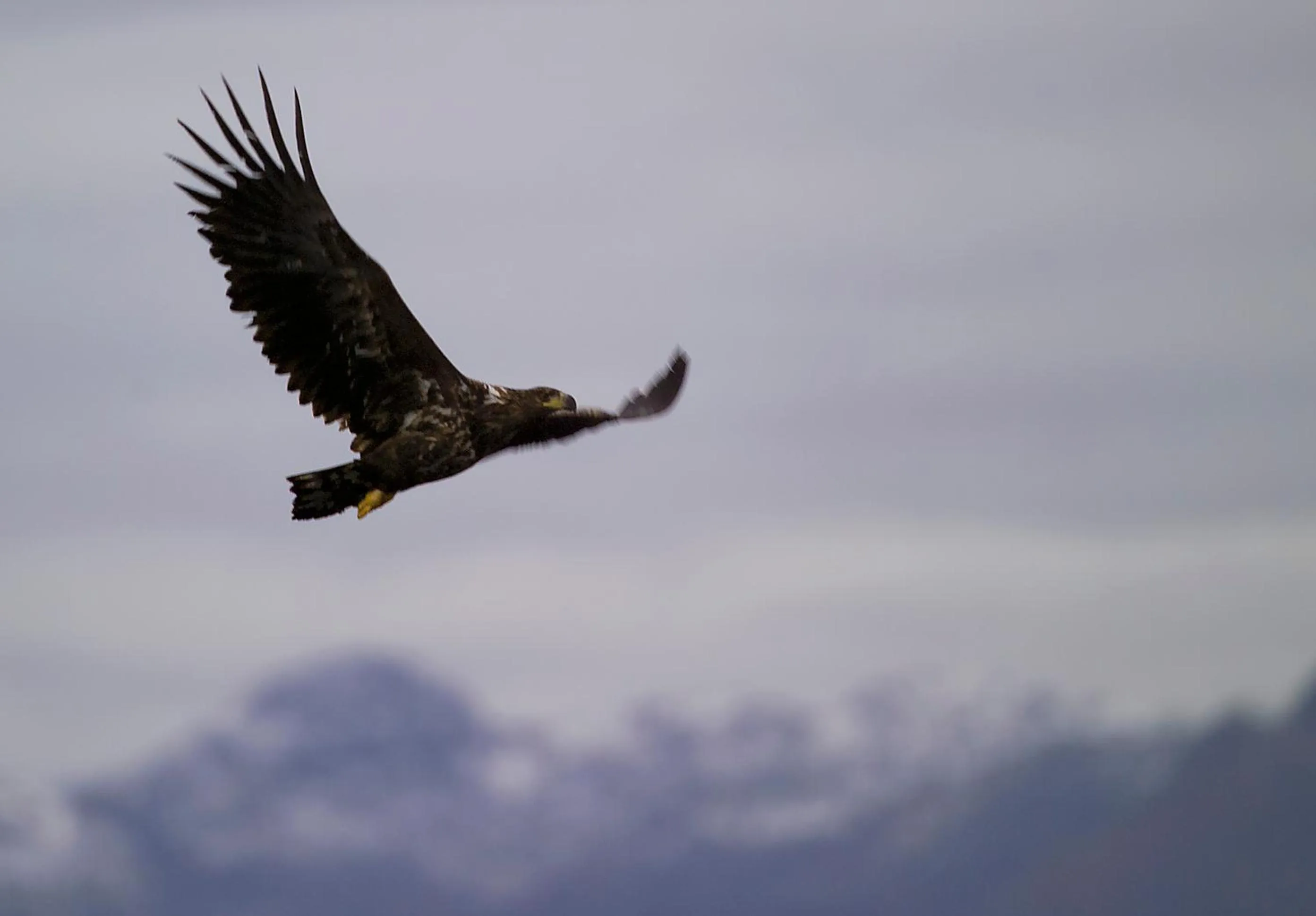 Day in Tysfjord Hotel