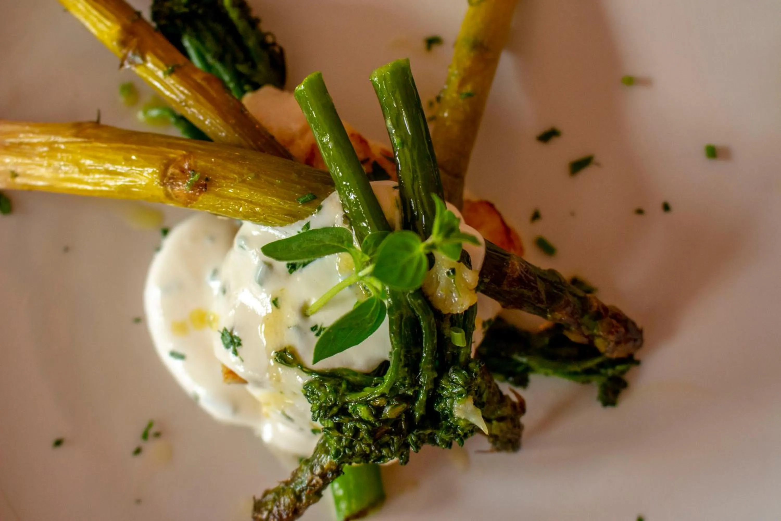 Restaurant/places to eat in Tysfjord Hotel