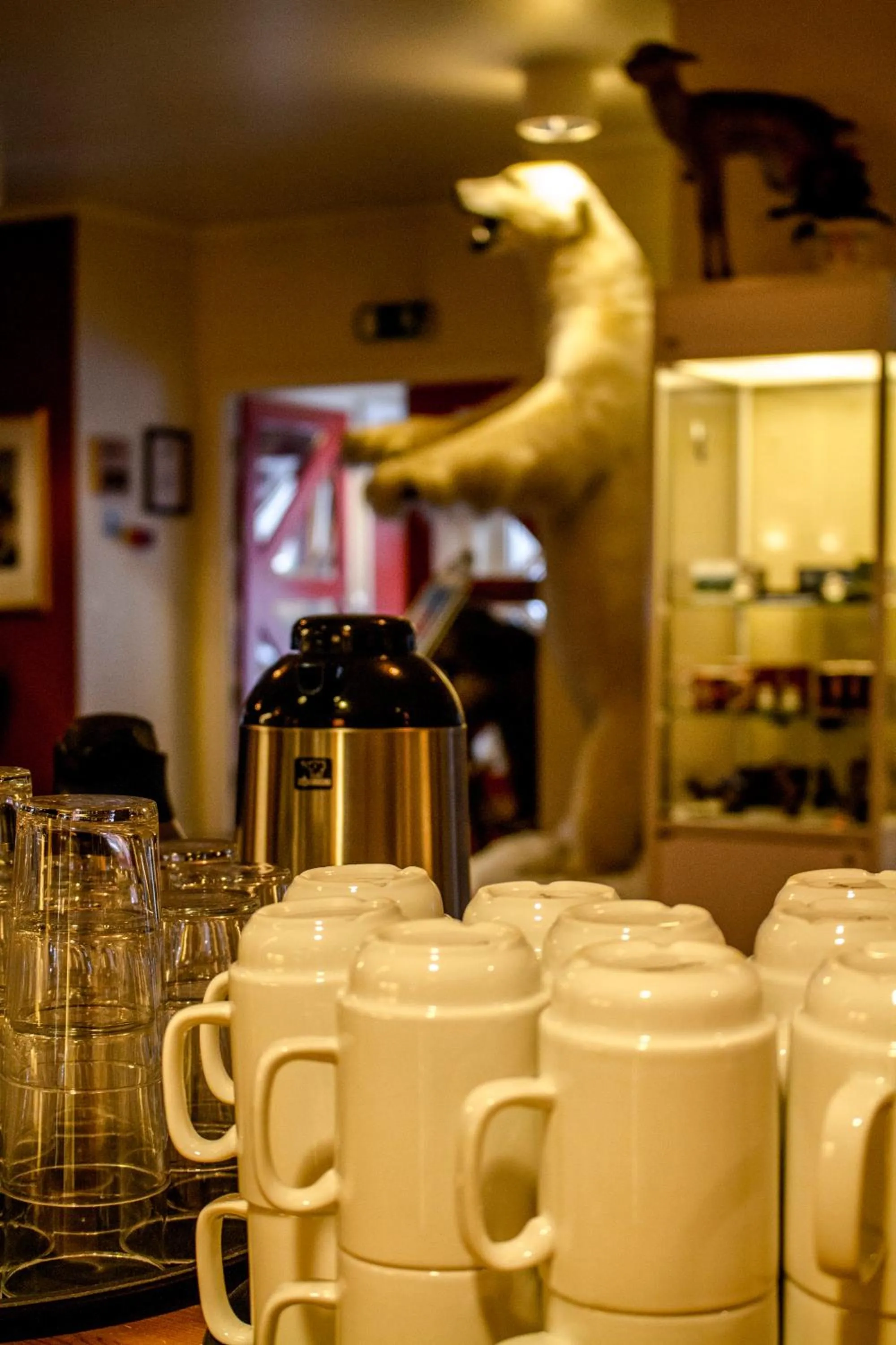 Restaurant/places to eat in Tysfjord Hotel