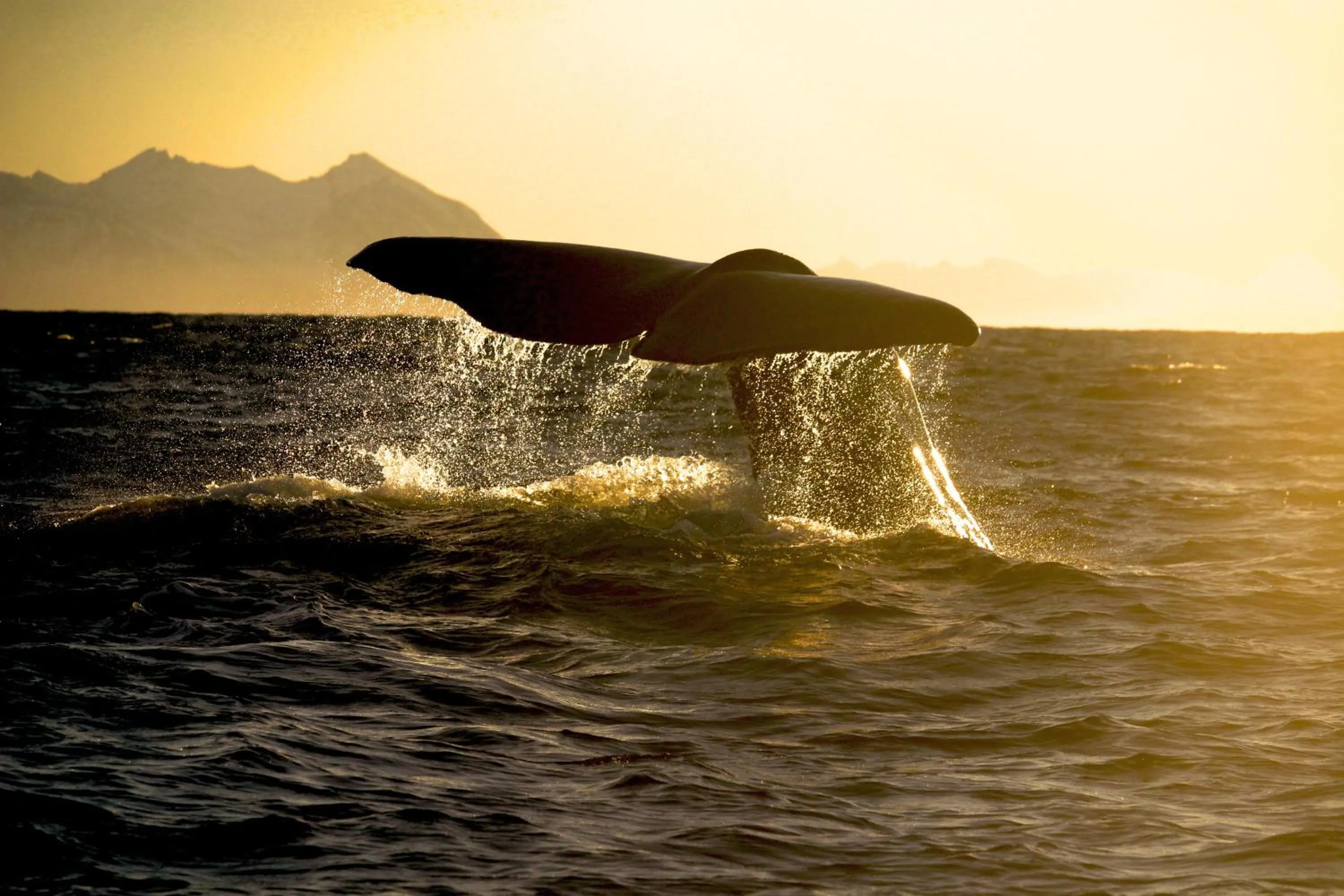 Off site in Tysfjord Hotel