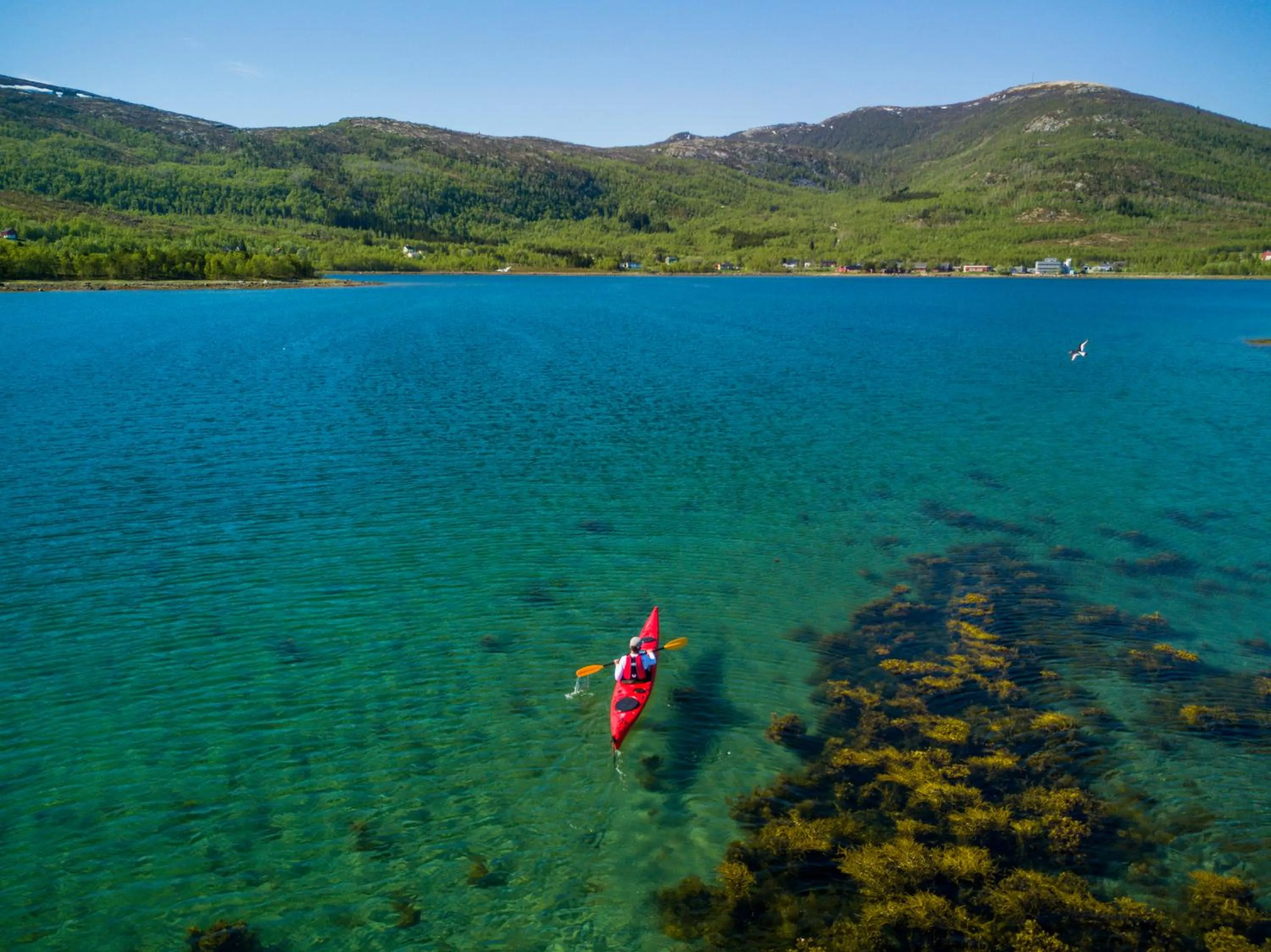 Sports in Tysfjord Hotel
